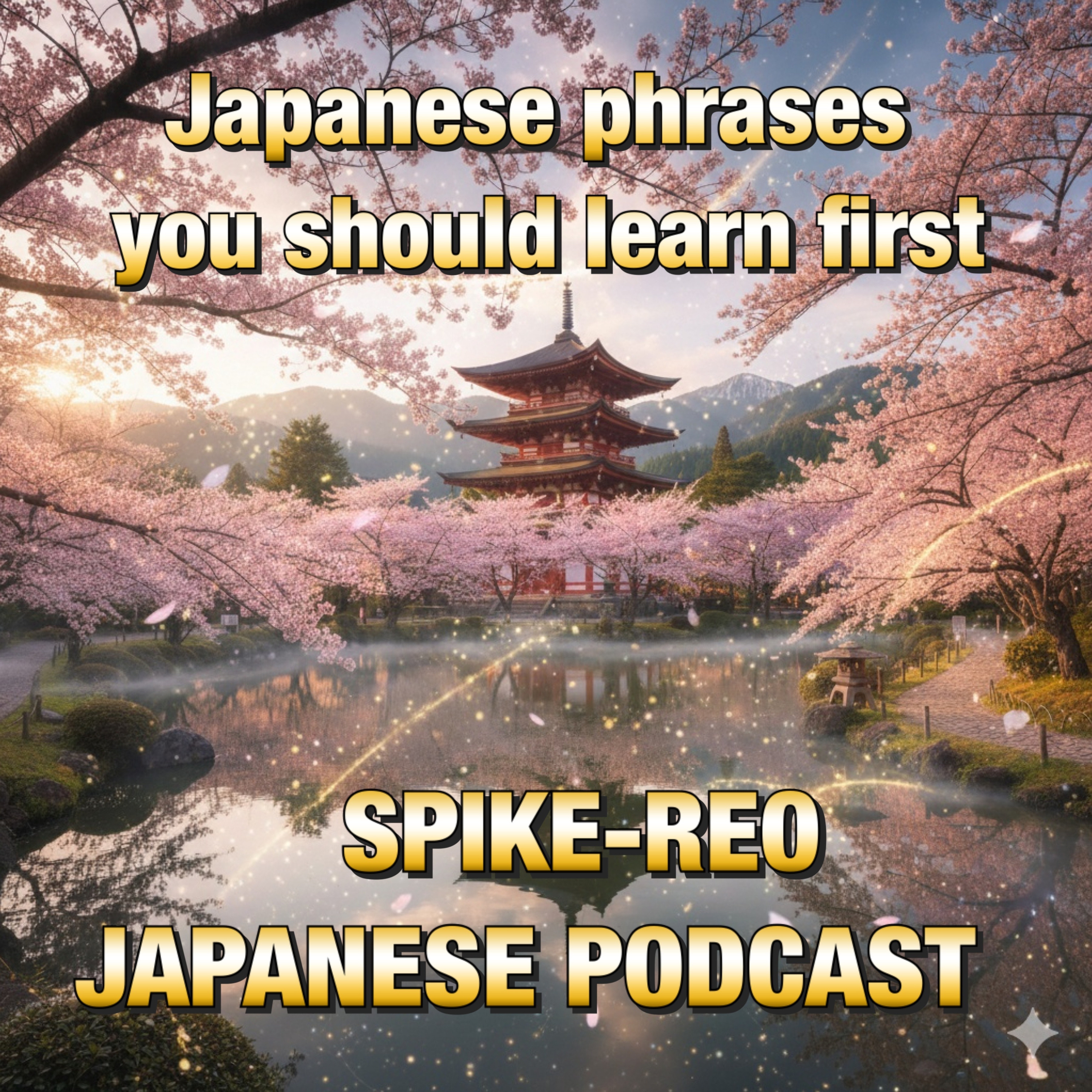 Episode 561【Learn useful phrases for different situations!】　