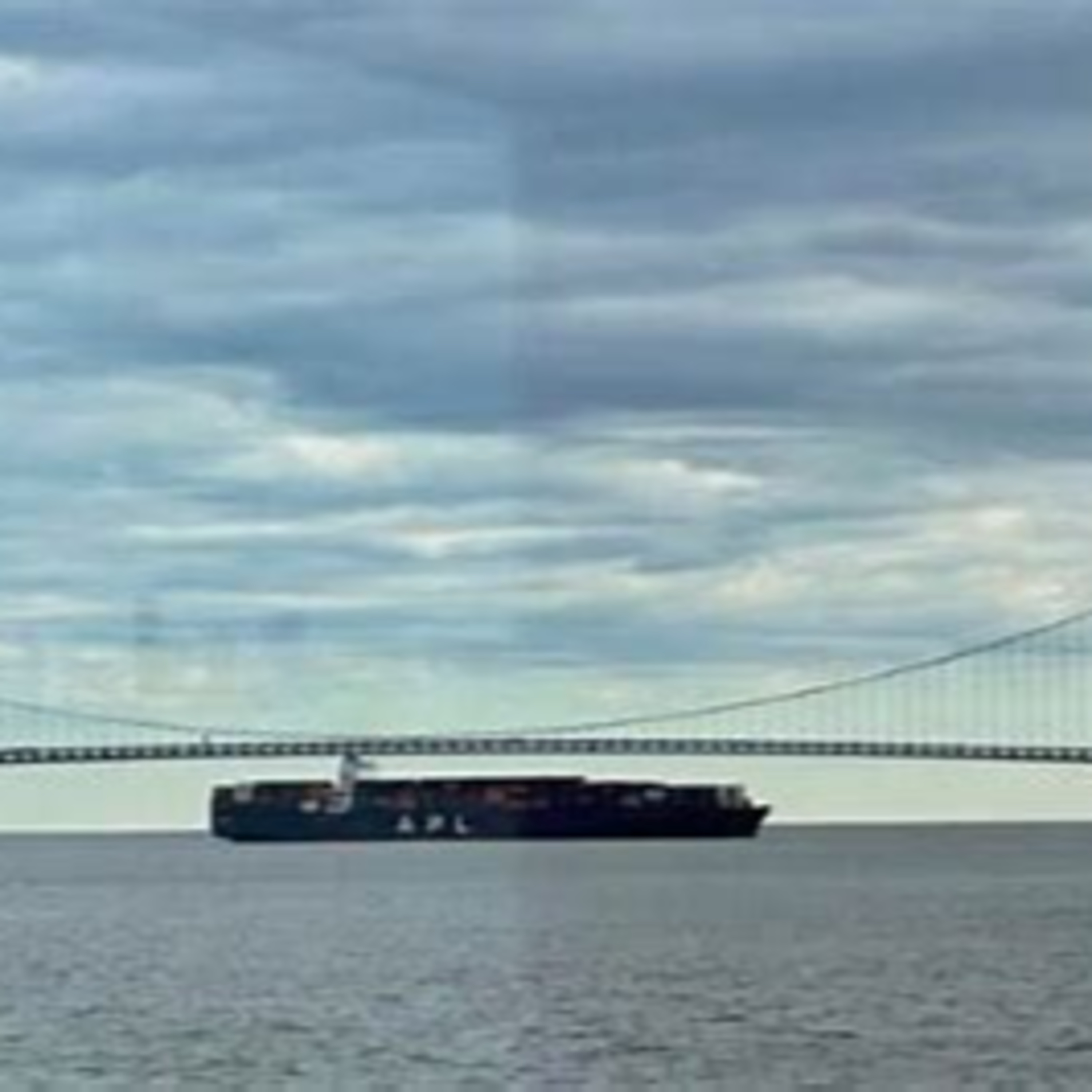 We Are At War: Massive Cargo Ship Loses Power Near NY Bridge
