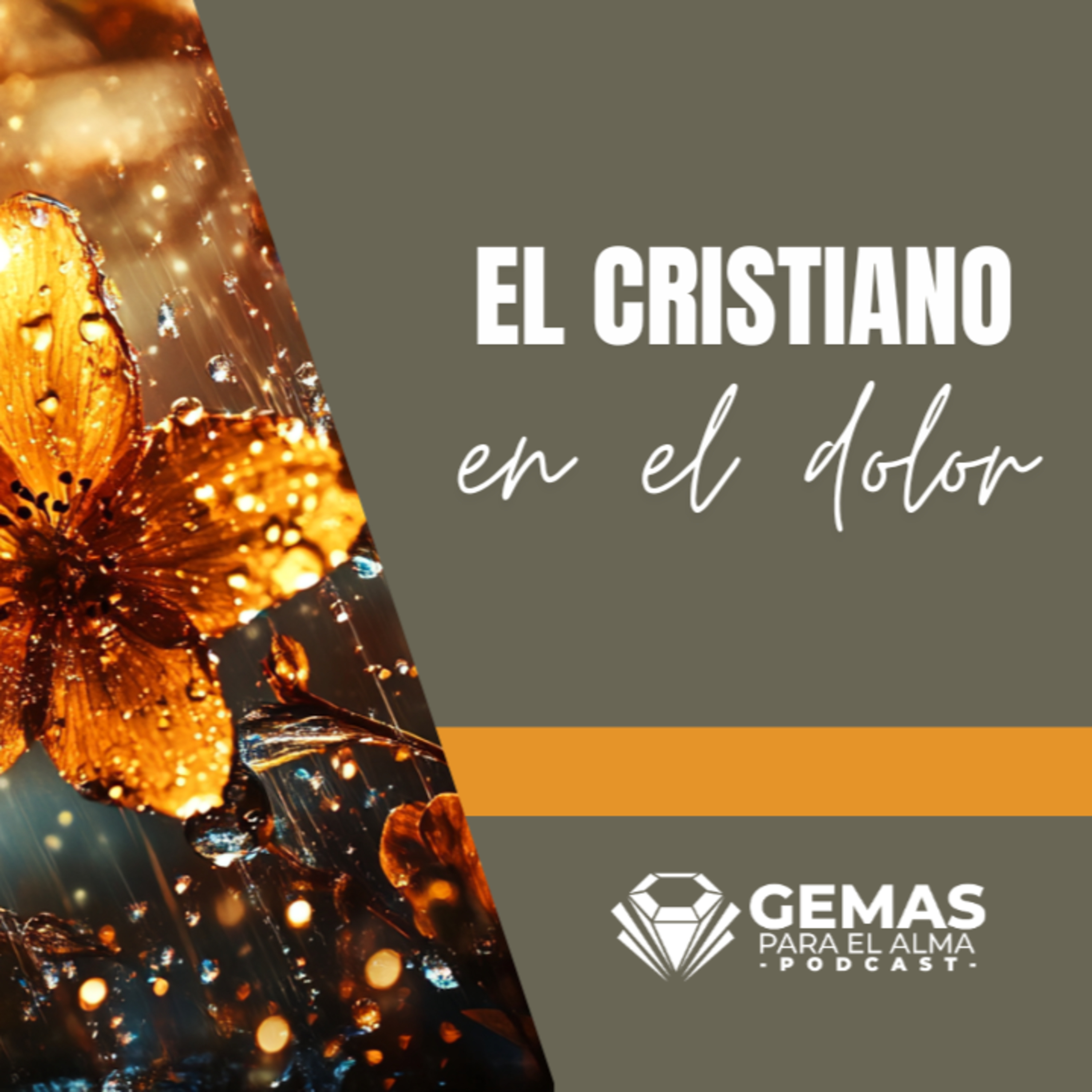 El Cristiano en el Dolor: ¿Y si ese abismo era para enseñarte a volar? episode artwork