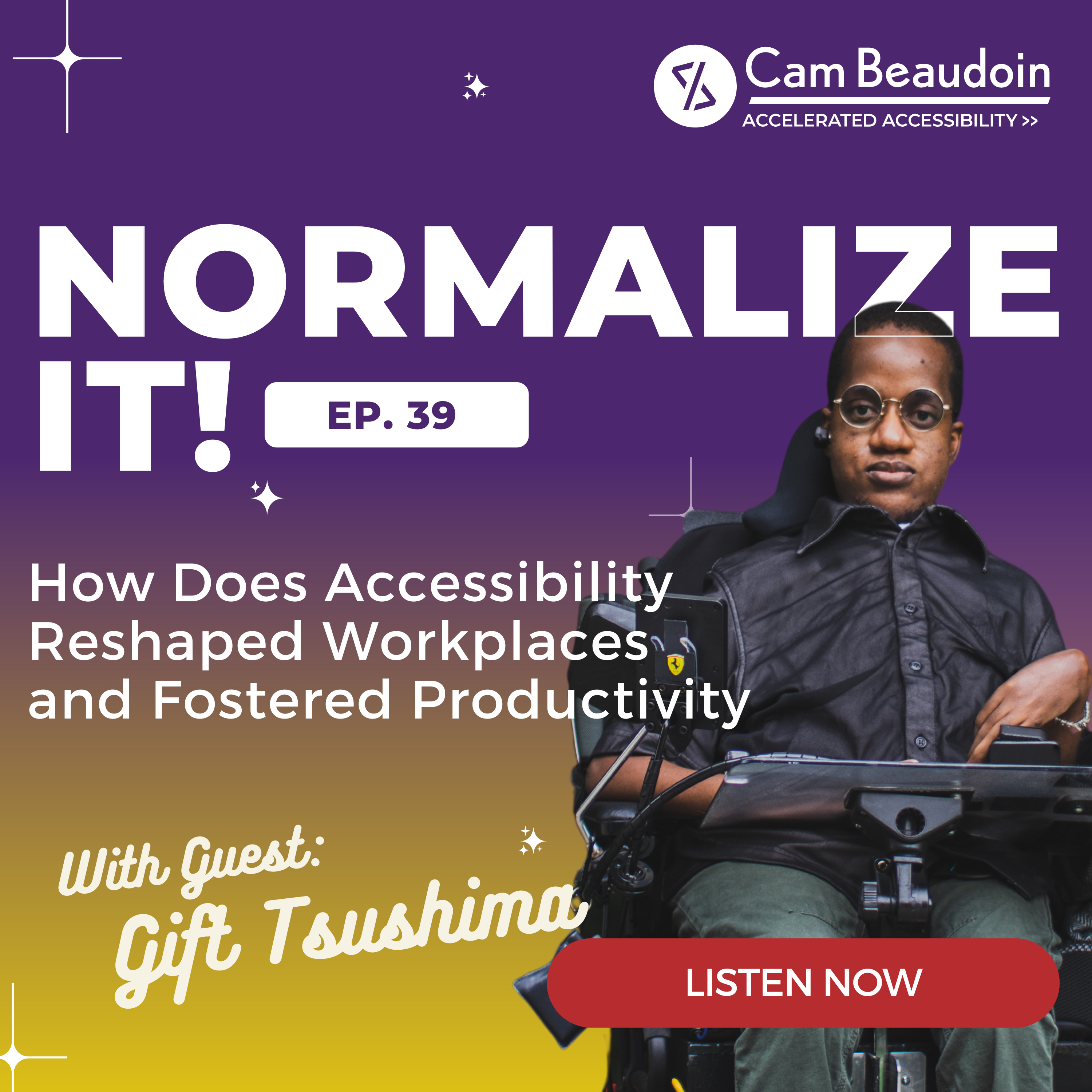 Normalize It - The Business of Accessibility and Disability Inclusion