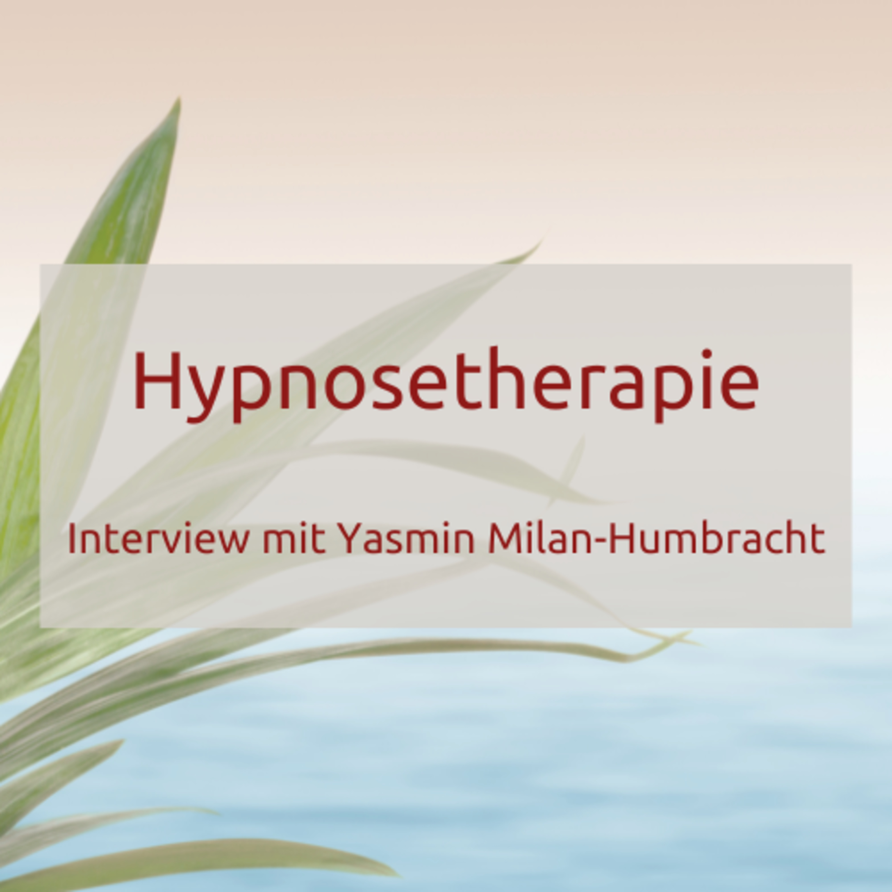 Heilpraktiker Wissen