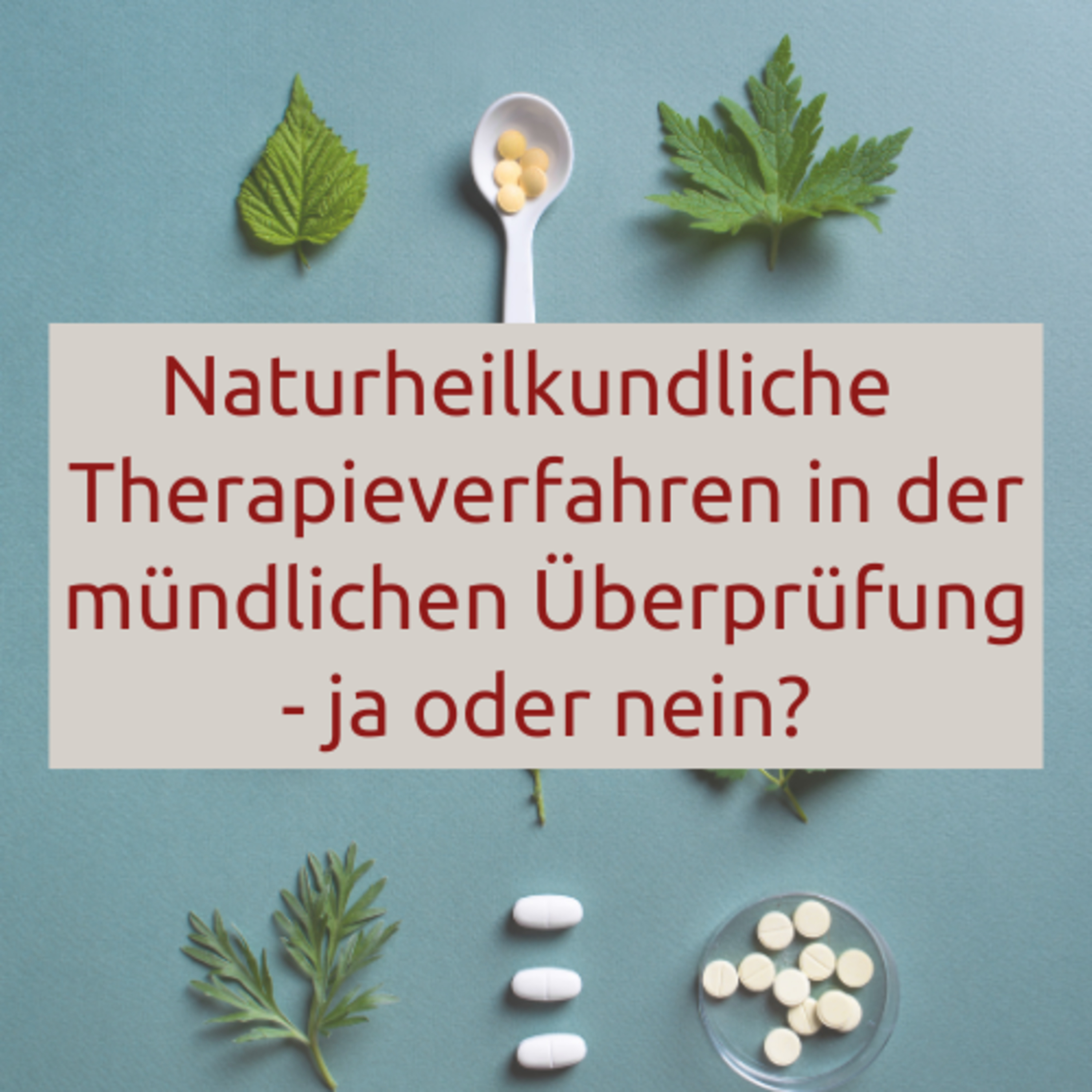 Heilpraktiker Wissen