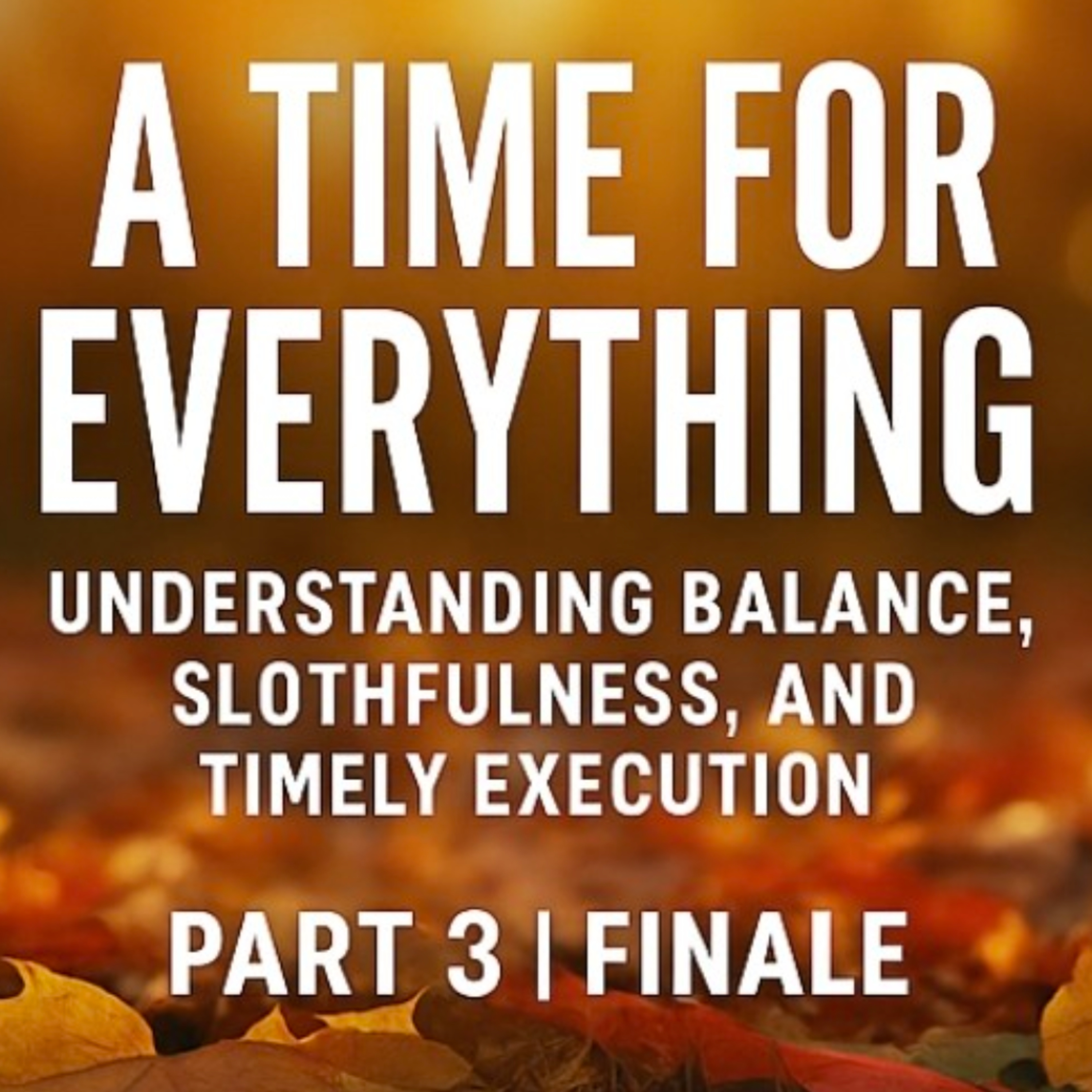 Pt3 (Finale) A Time for Everything: Understanding Balance, Slothfulness, and Timely Execution. episode artwork