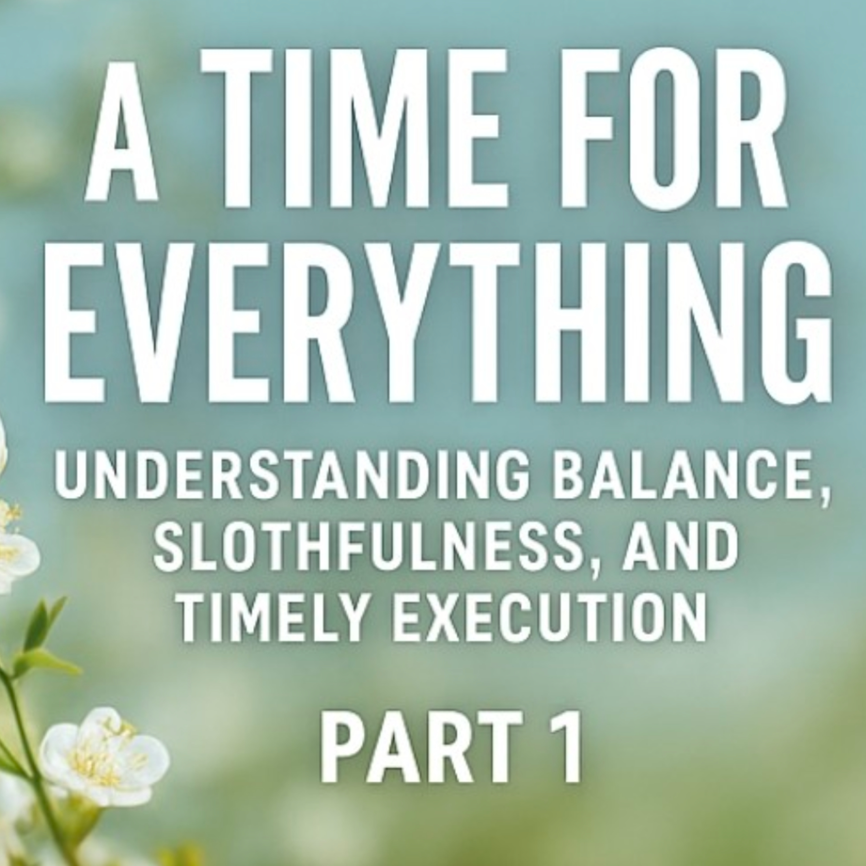 Pt.1 A Time for Everything: Understanding Balance, Slothfulness and Timely Execution.  episode artwork