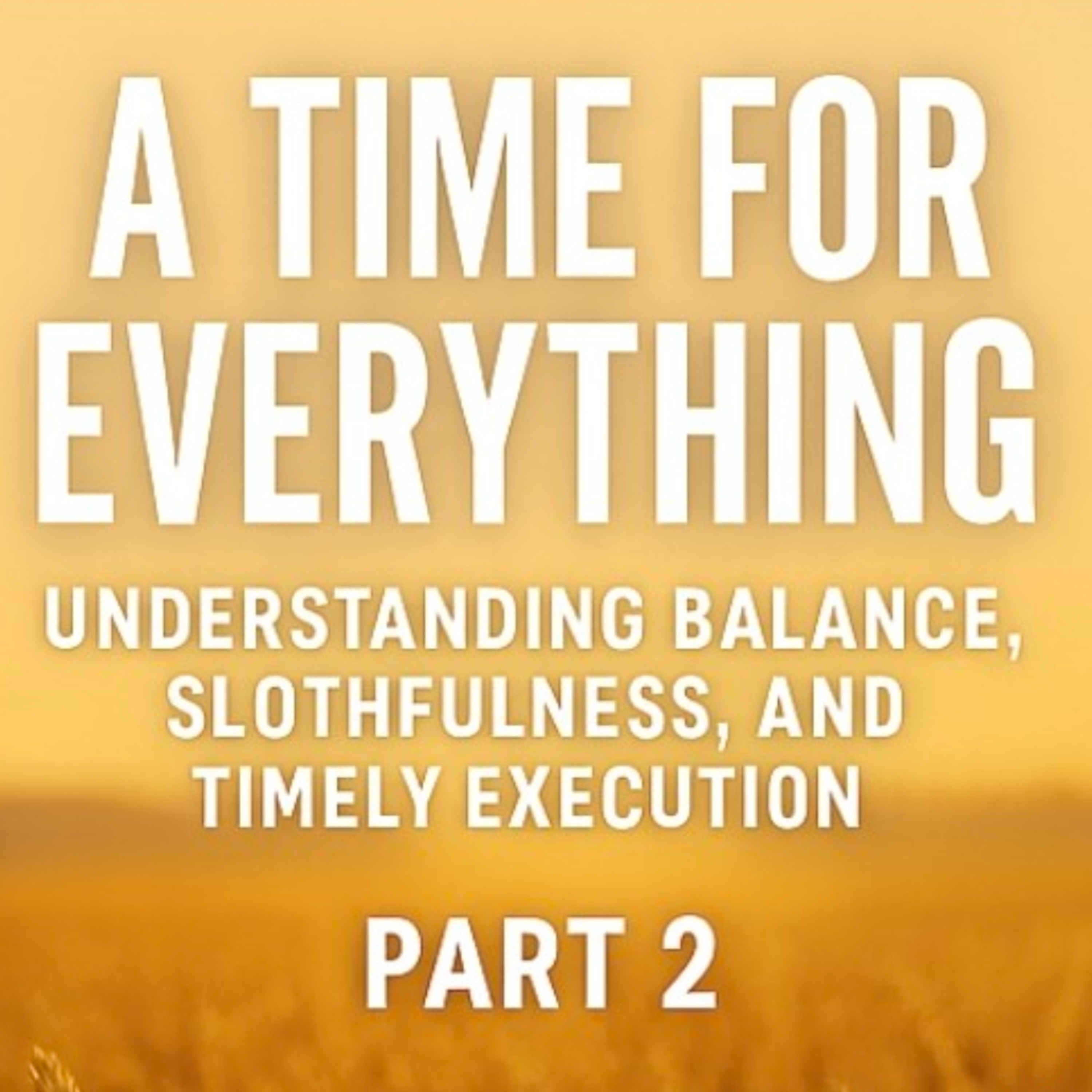 Pt.2 A Time for Everything: Understanding Balance, Slothfulness and Timely Execution.  episode artwork