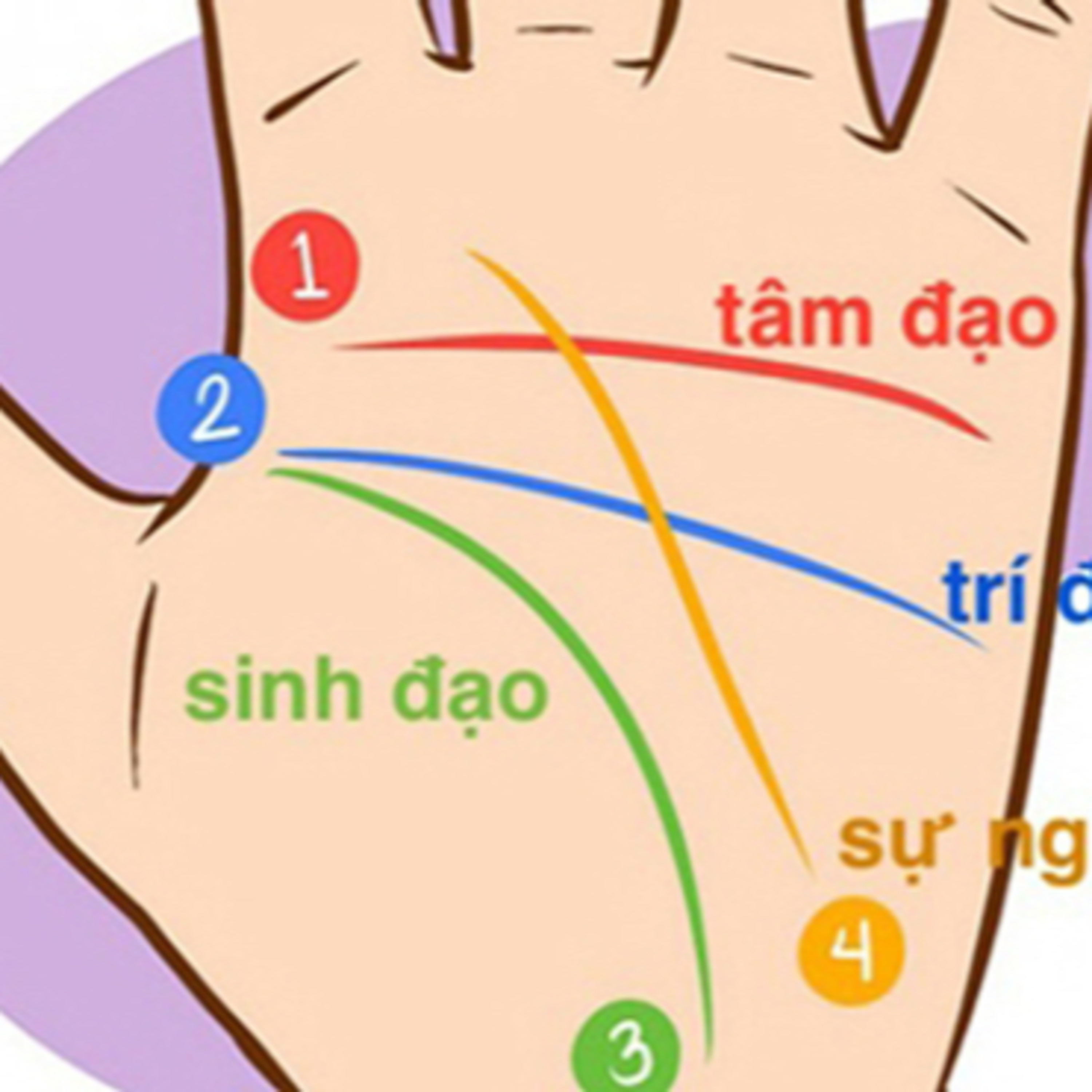 Tử vi 2023 phong thuỷ số