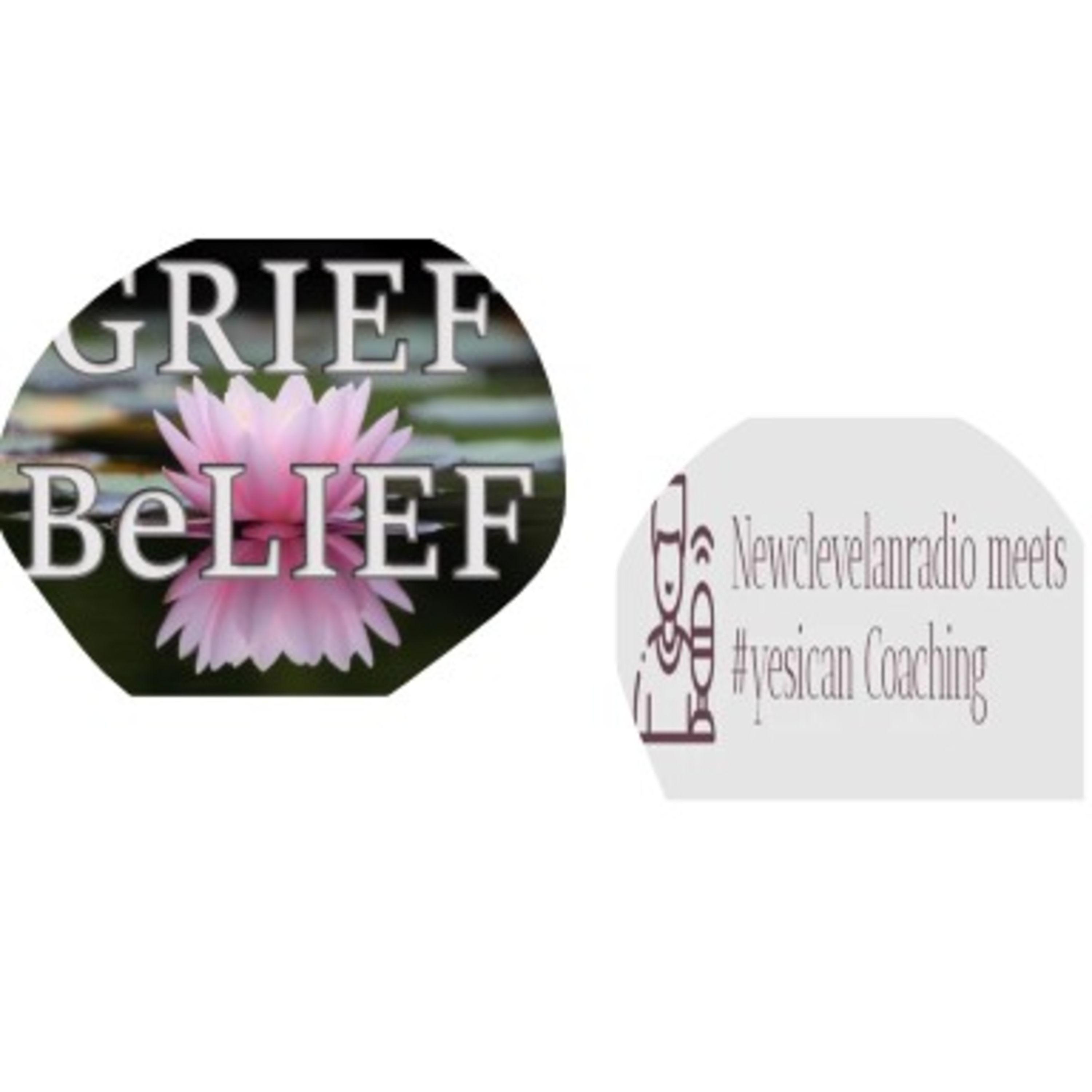 GRIEF BeLIEF_The Role of the GRIEF COACH 51925 #30 #podmatch