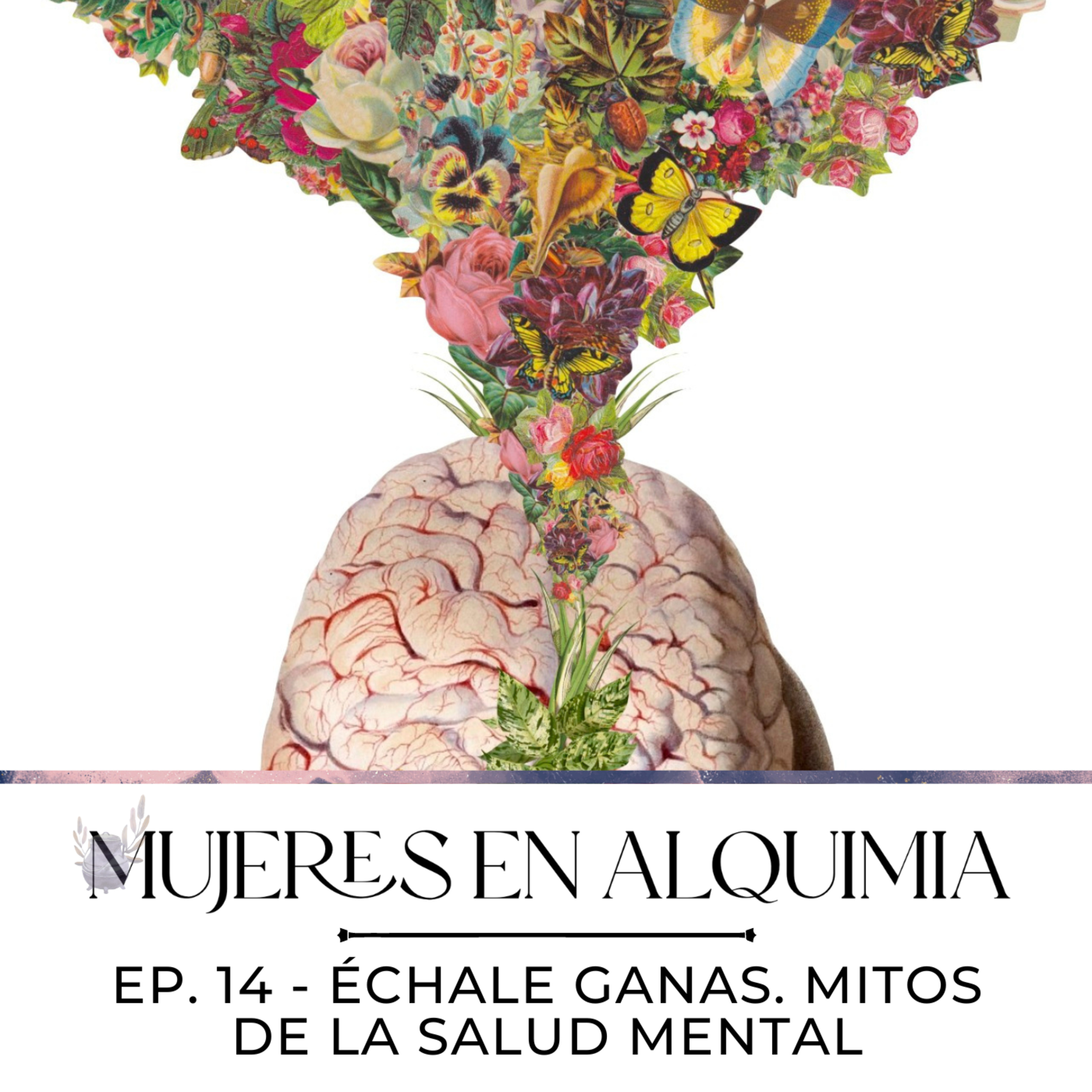 Mujeres en Alquimia