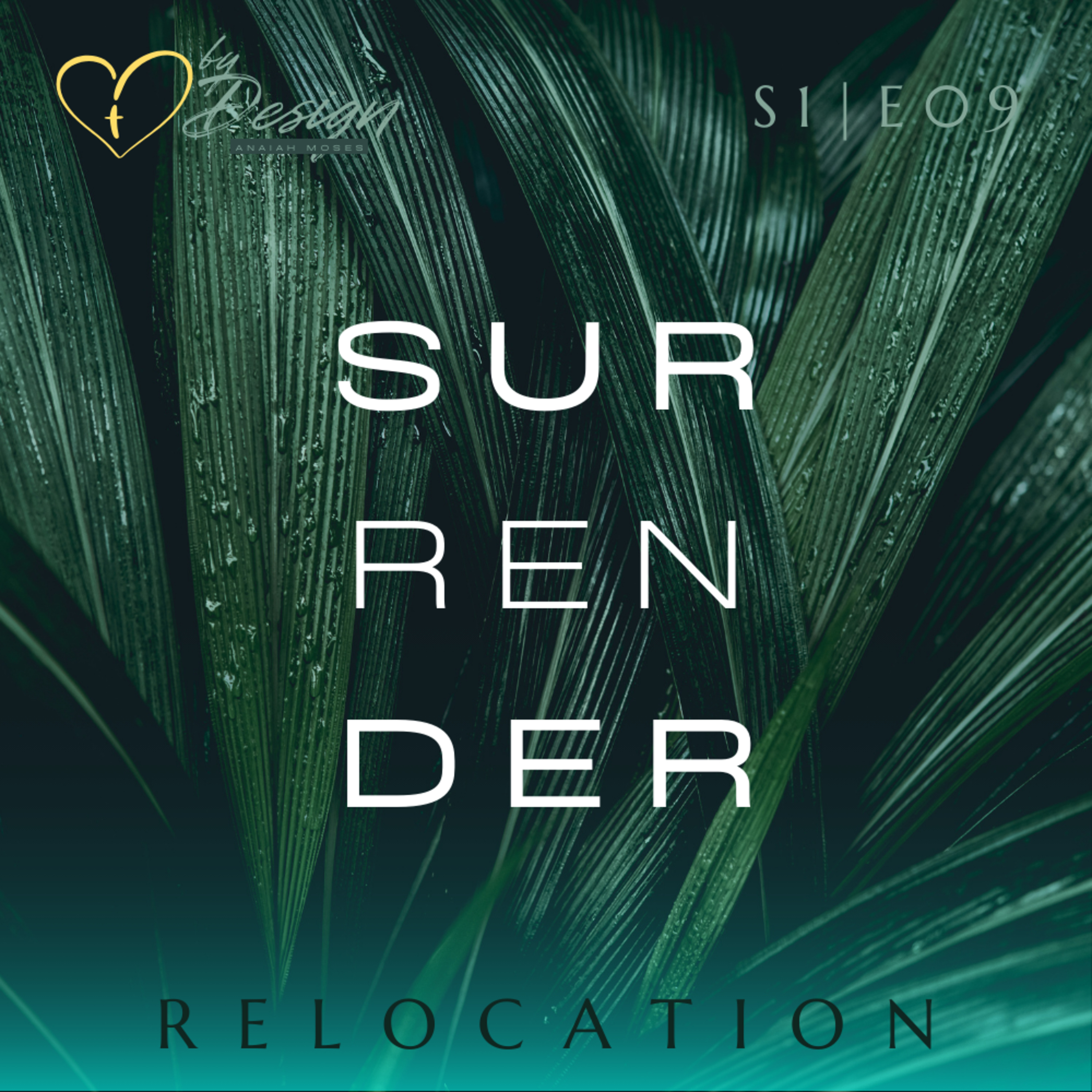 Surrender episode artwork