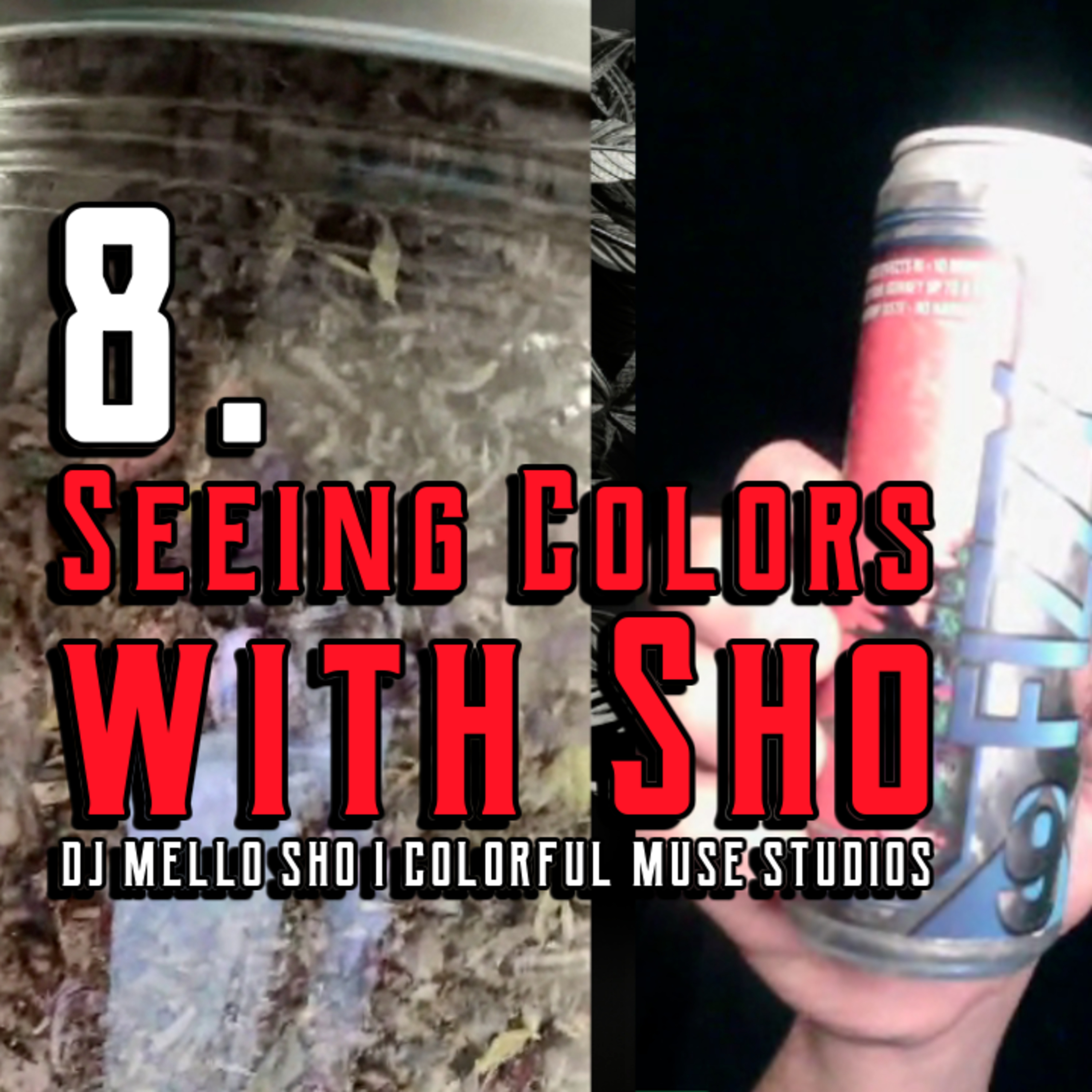 8. Seeing Color with Sho | Founder of Colorful Muse Studio episode artwork