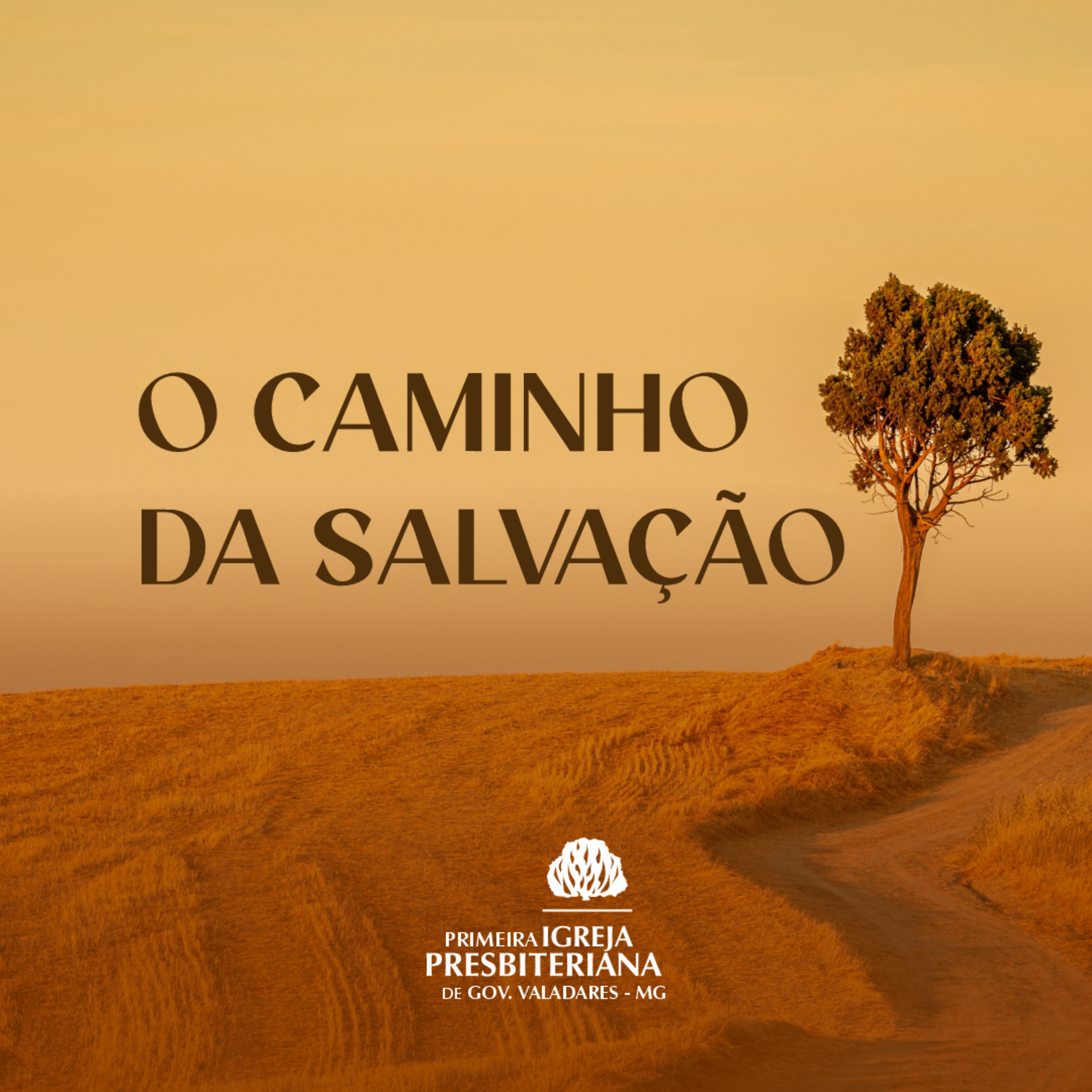 Primeira IPGV