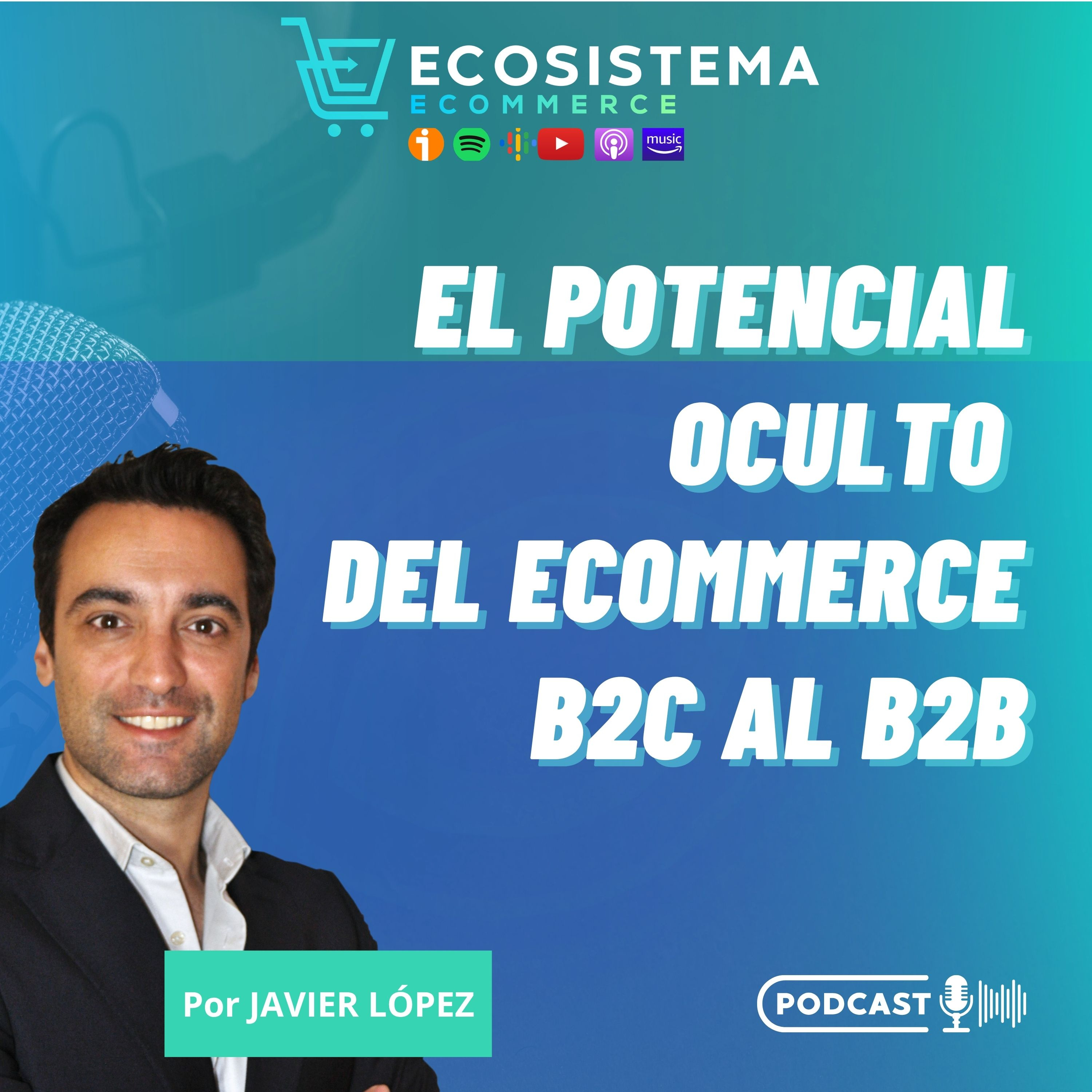 #417 El potencial oculto del ecommerce B2C al B2B. Por qué deberías adaptar tu tienda online para vender a empresas. 