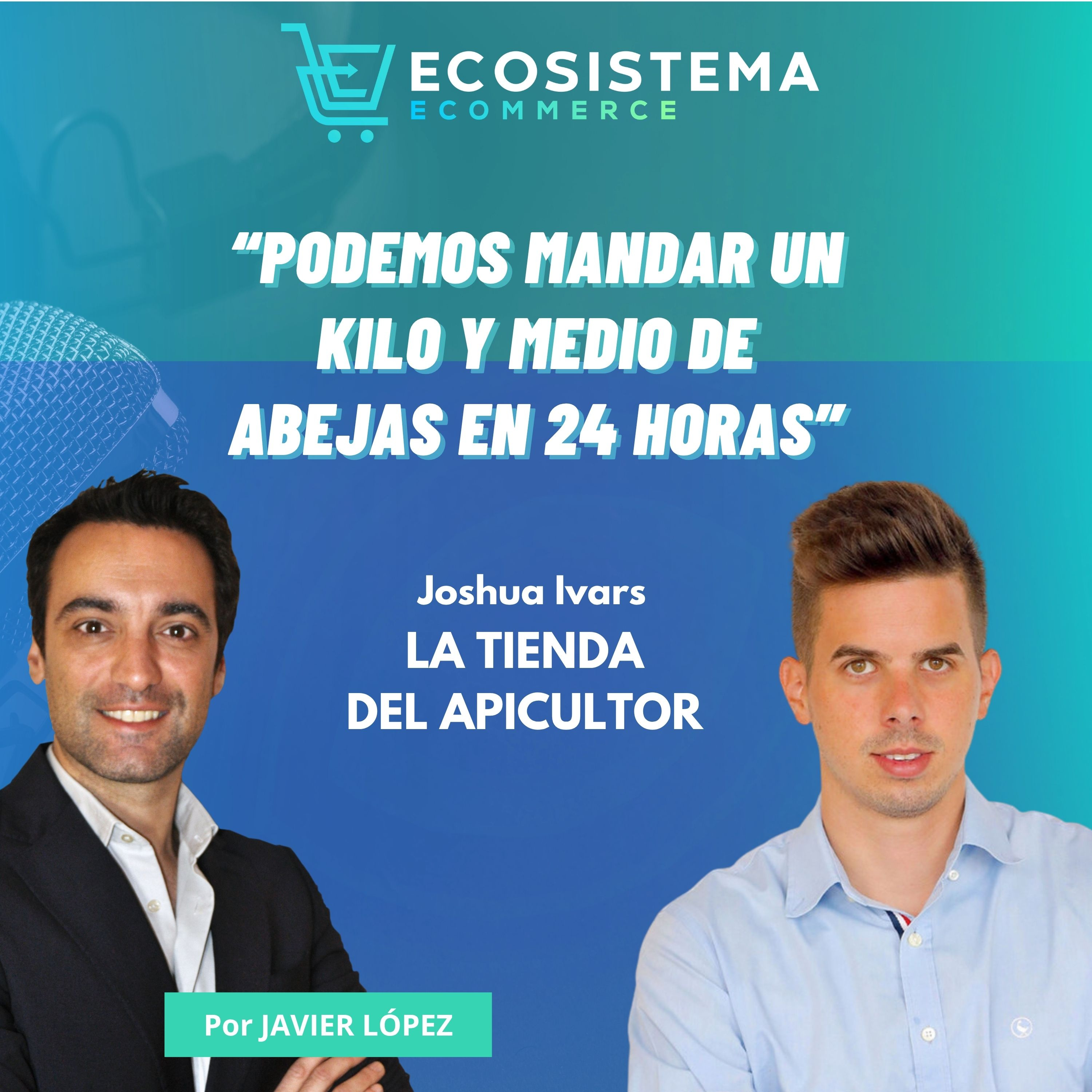 Ecosistema Ecommerce