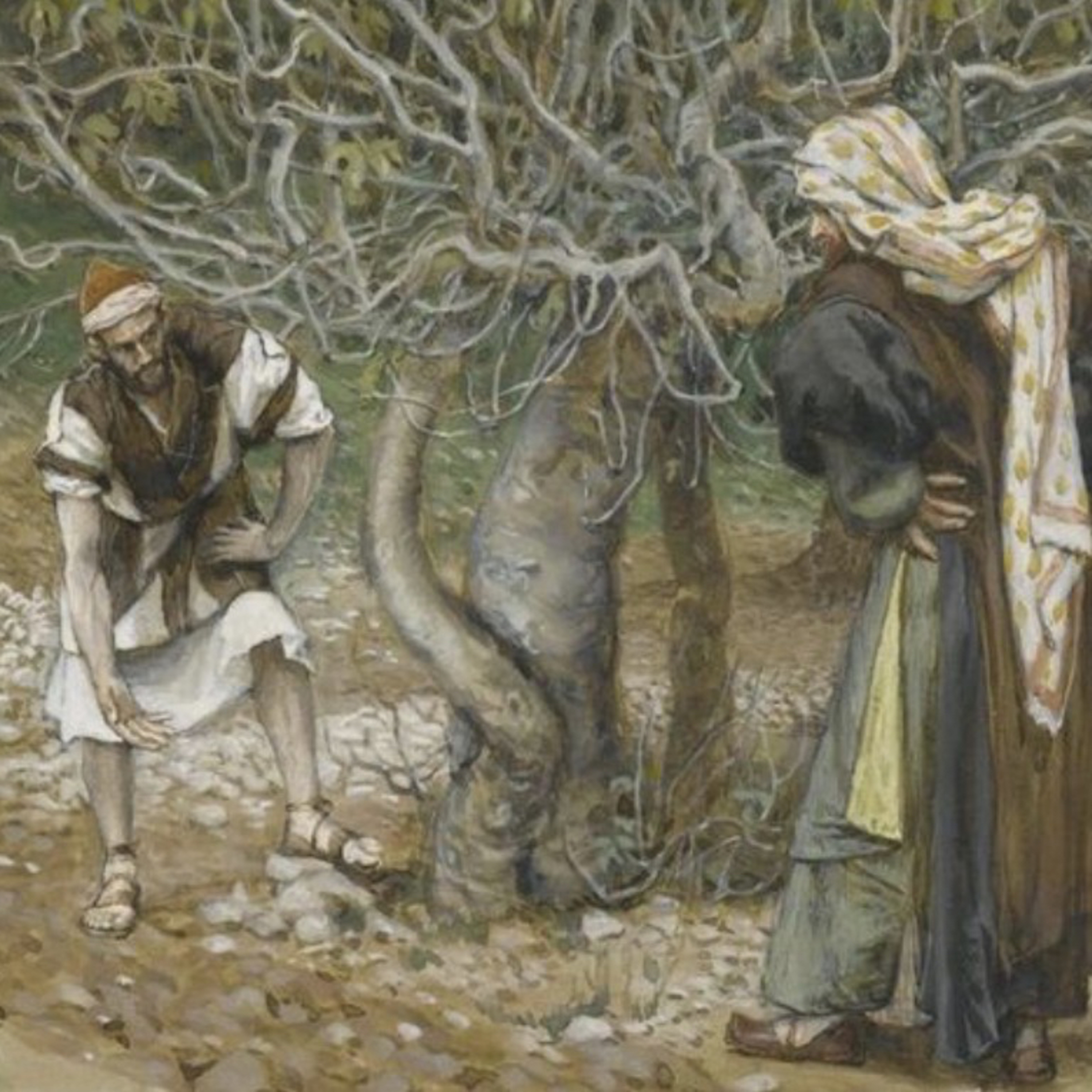 The Barren Fig Tree | Luke 13:6–9 | Midweek Lent 1 [Pastor Fitzpatrick)] episode artwork