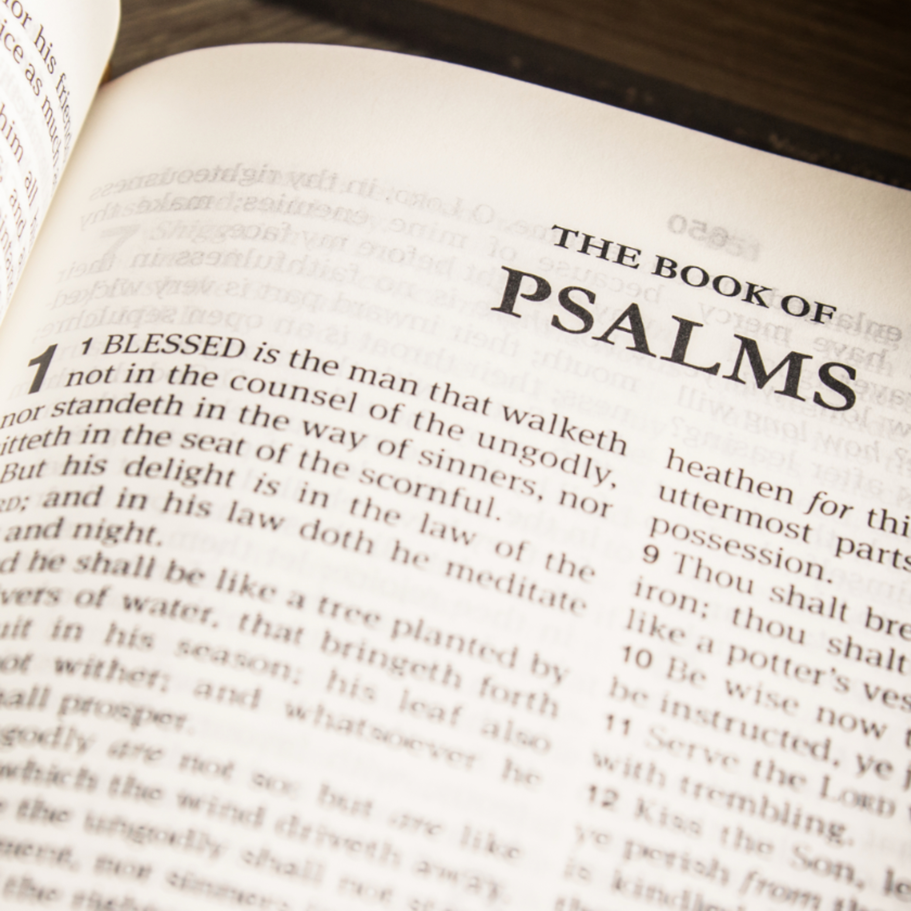 "Preface To The Psalms" | Luther's Works, Vol. 35 | Dr. Martin Luther episode artwork