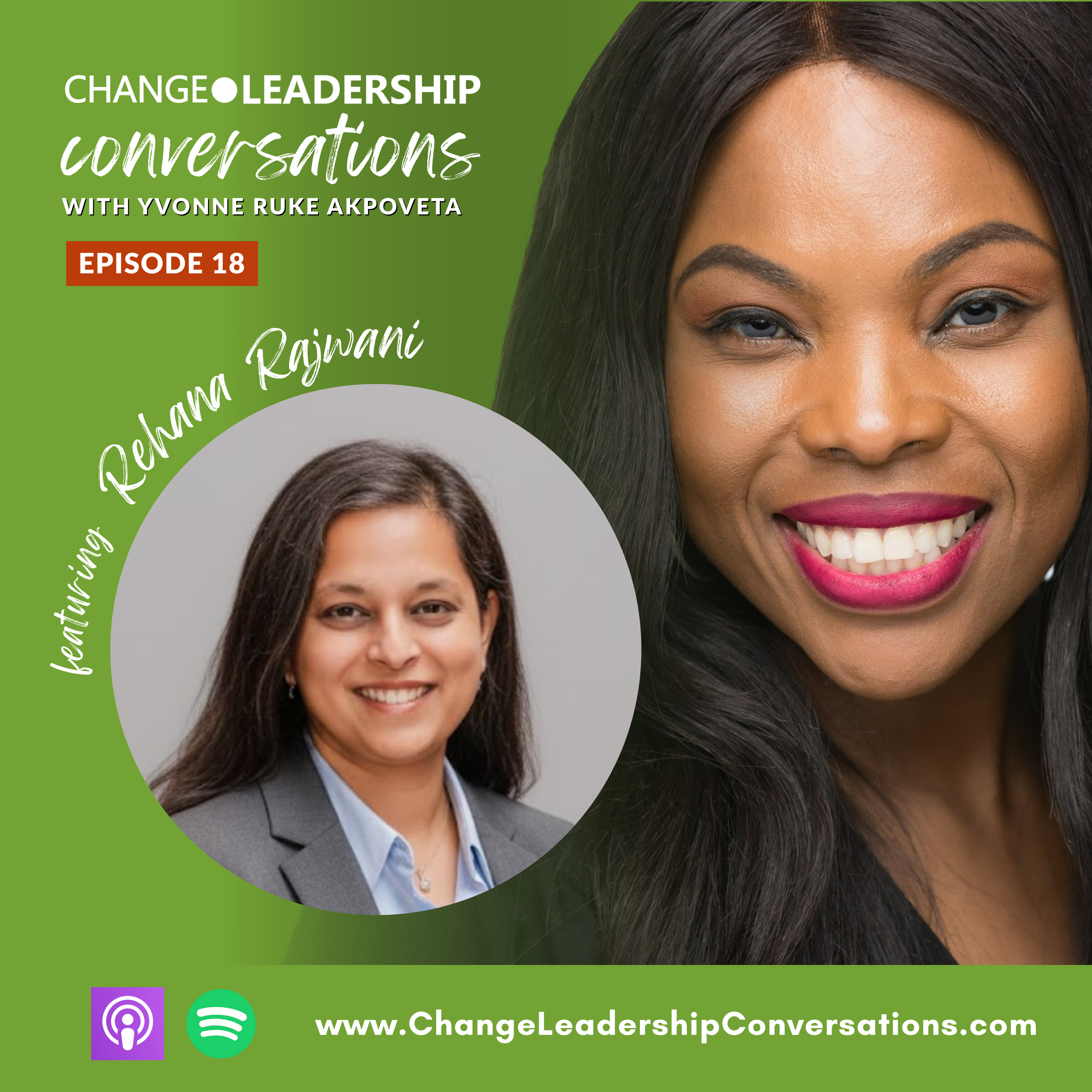 Organizational Physics: The Science and Soul of Leading Change | Ep 18