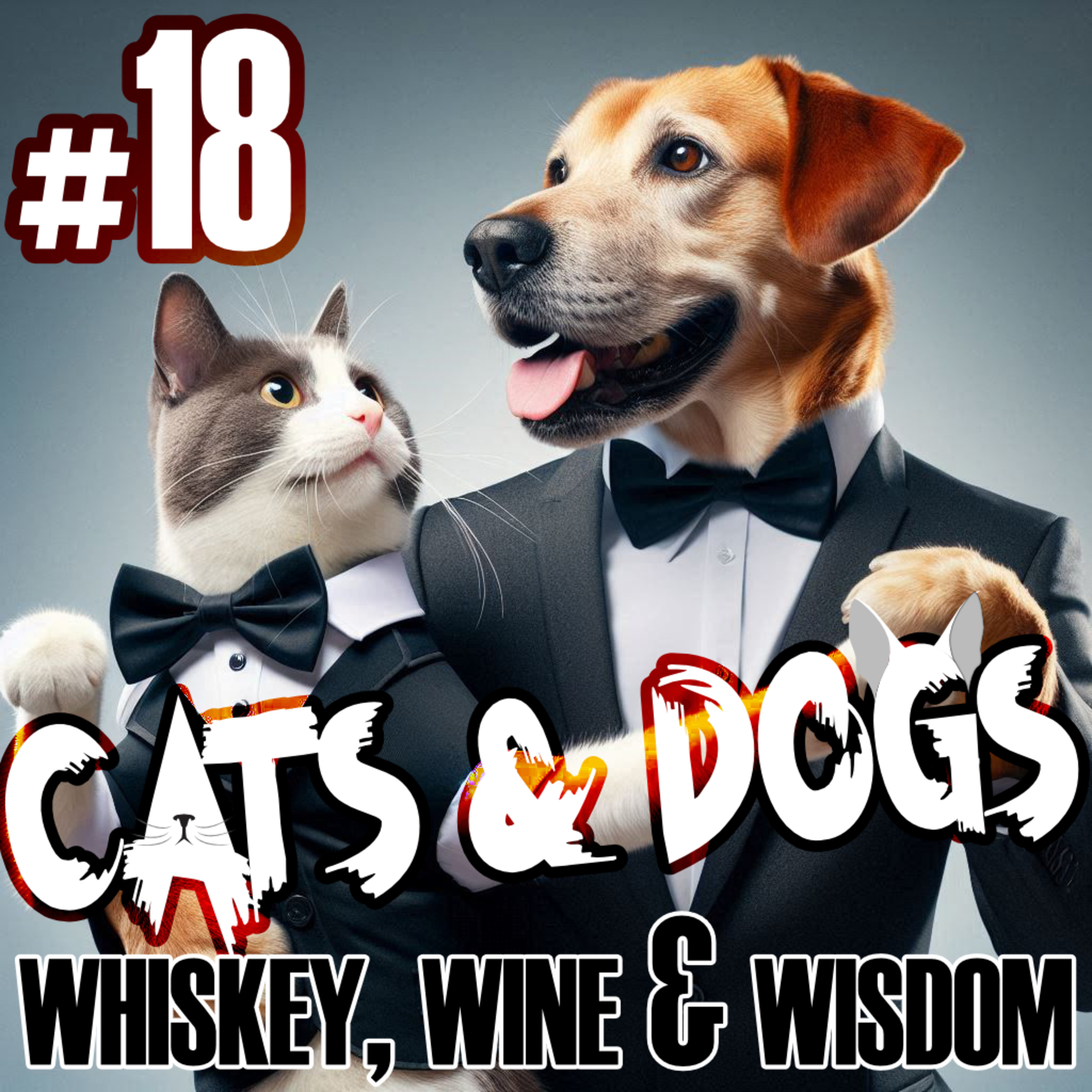 Cats & Dogs episode artwork