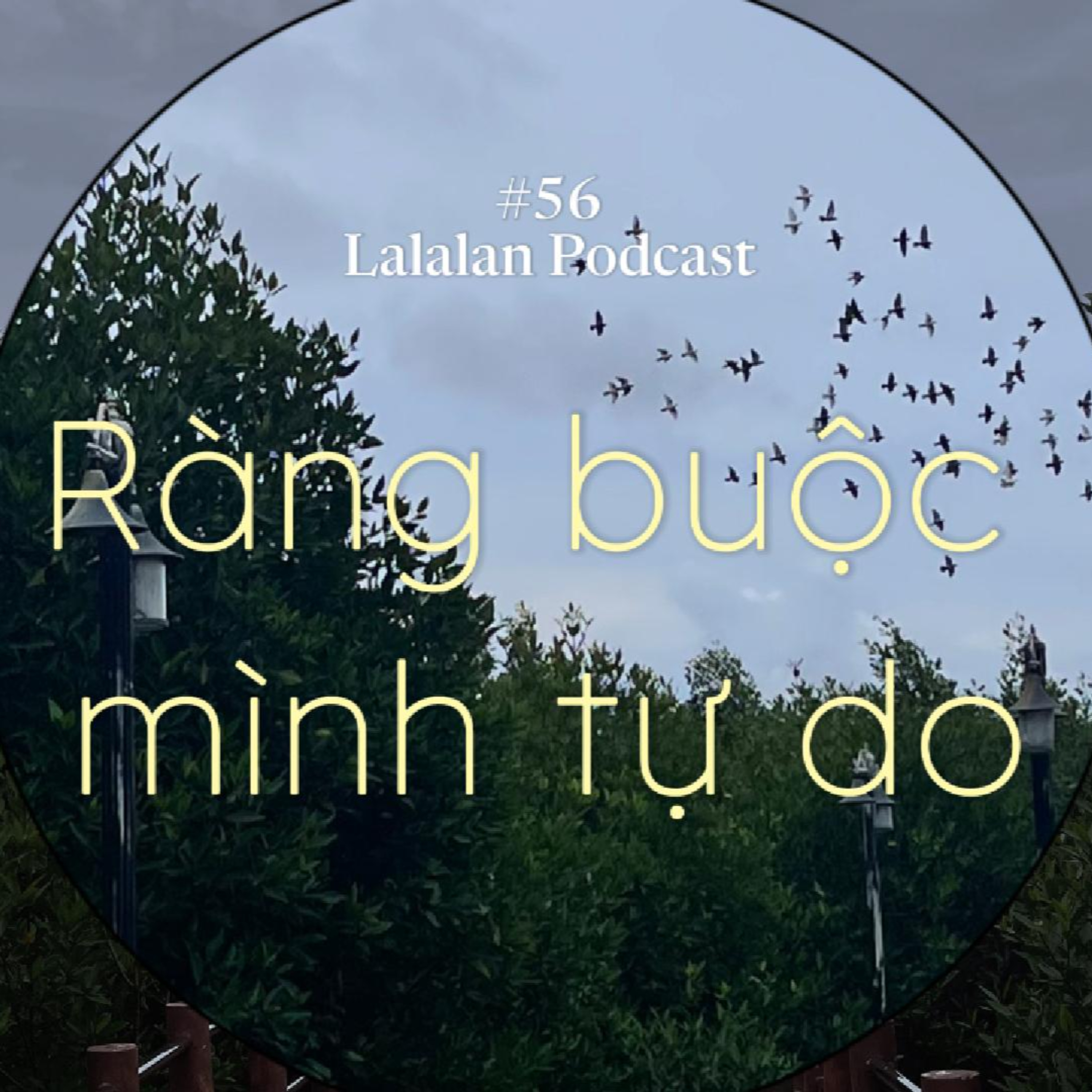 56. Ràng buộc mình tự do. episode artwork
