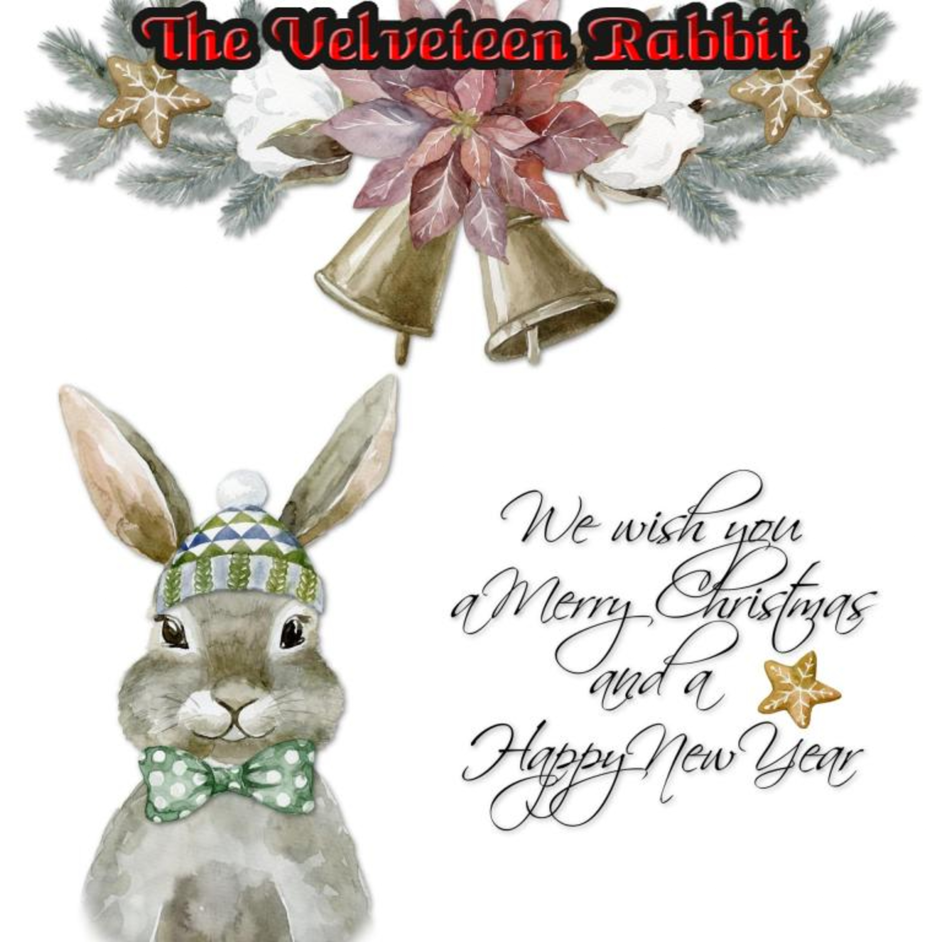 The Velveteen Rabbit 🐰