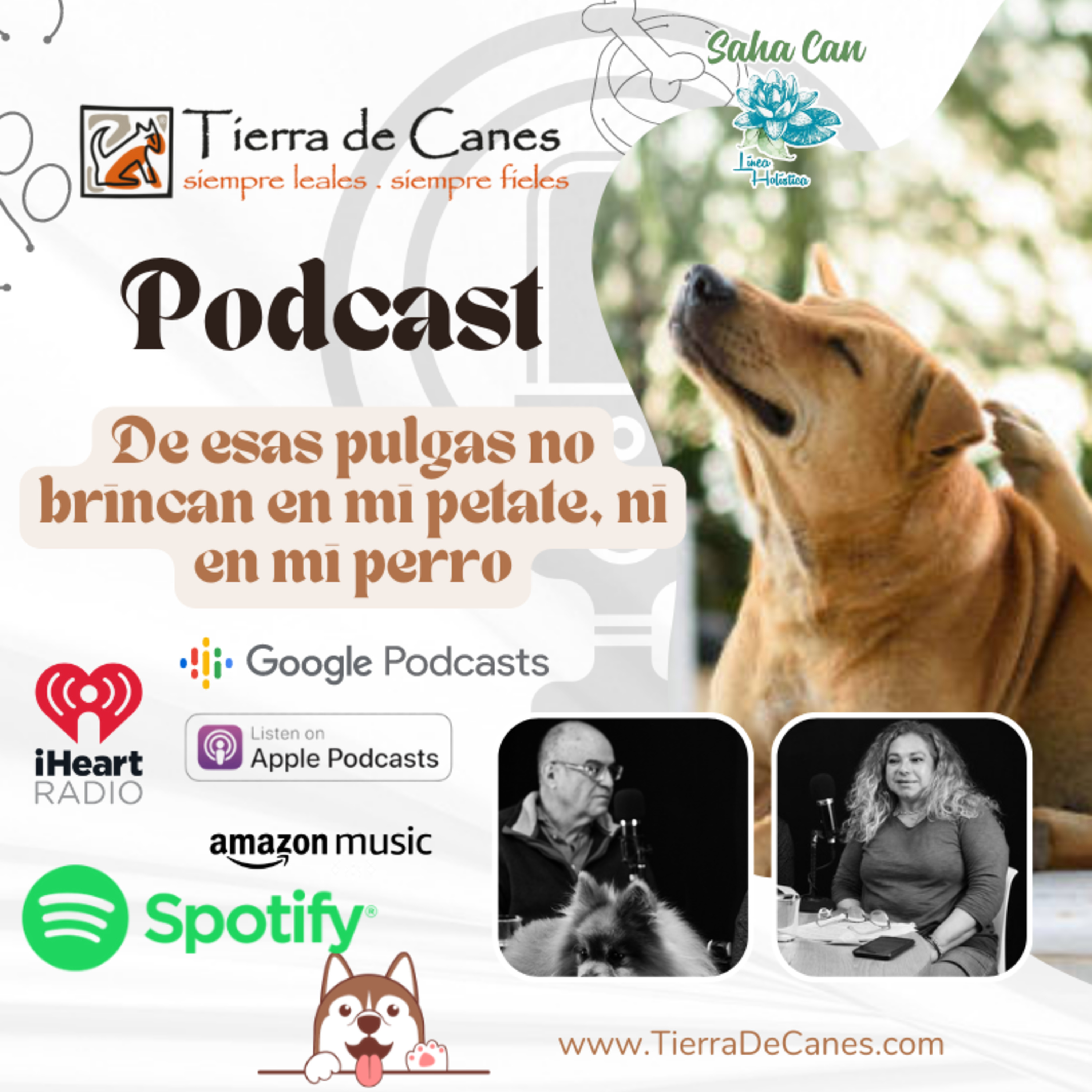 Tierra de Canes