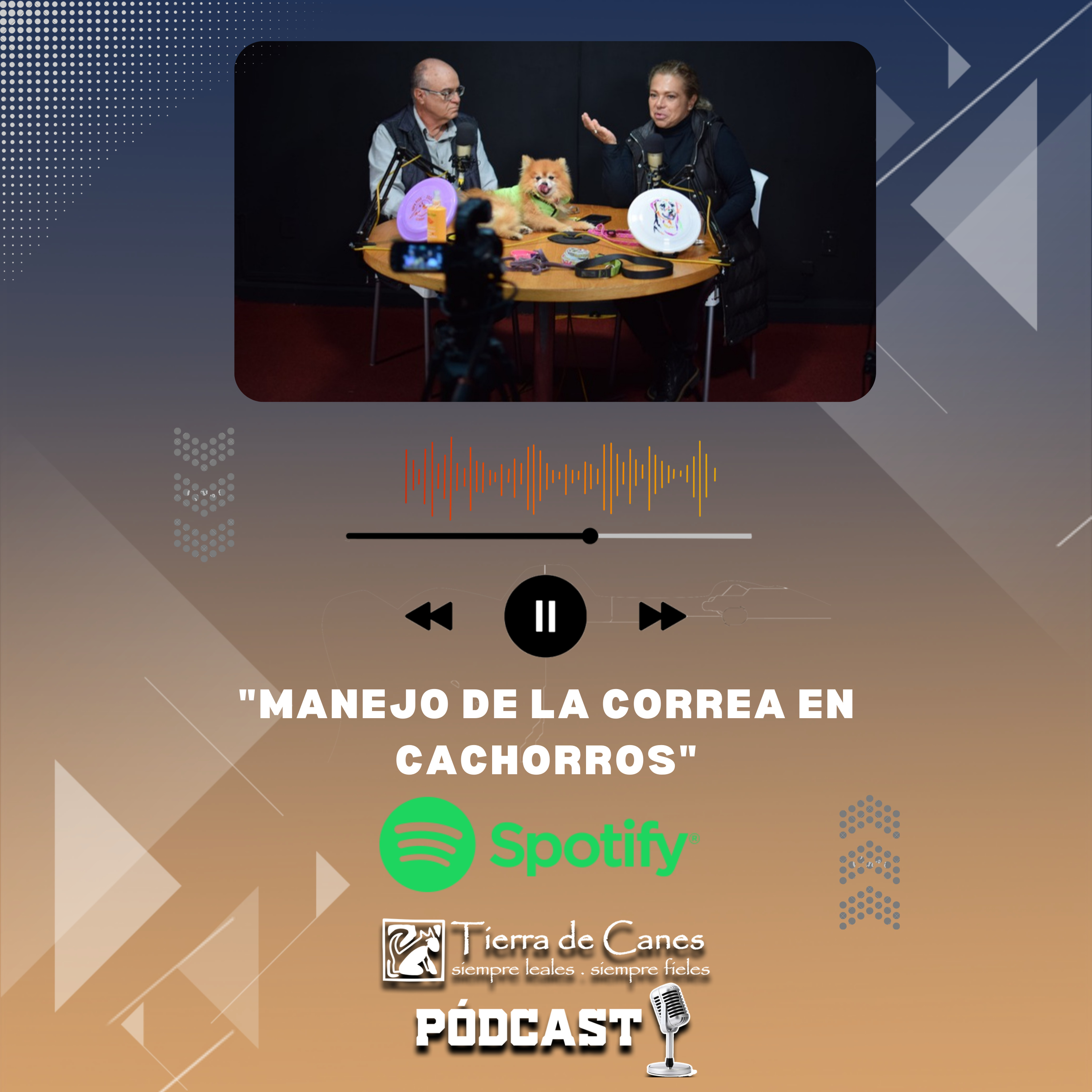 Tierra de Canes