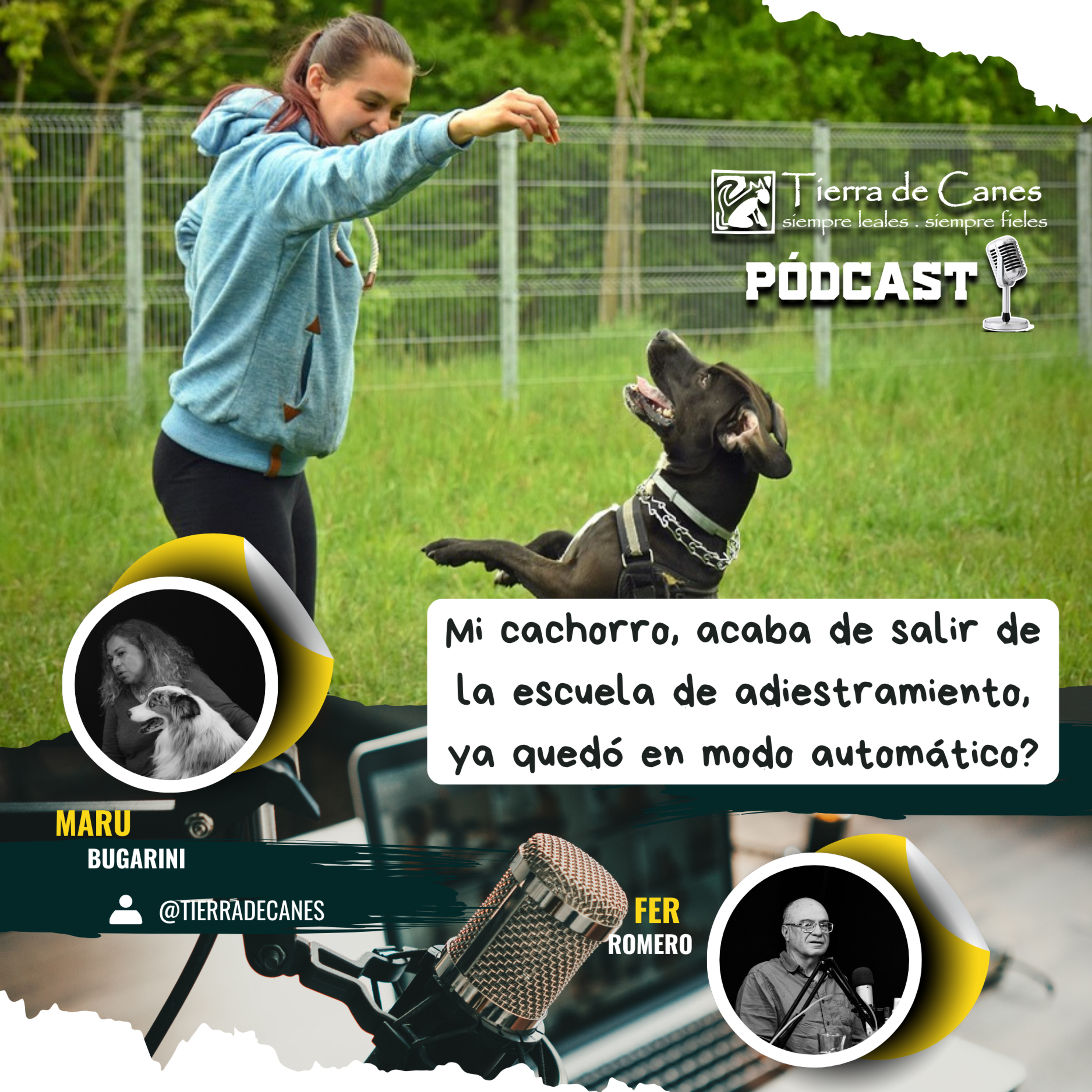 “Mi cachorro acaba de salir de la escuela de adiestramiento… ¿ya quedó en modo automático?”  episode artwork