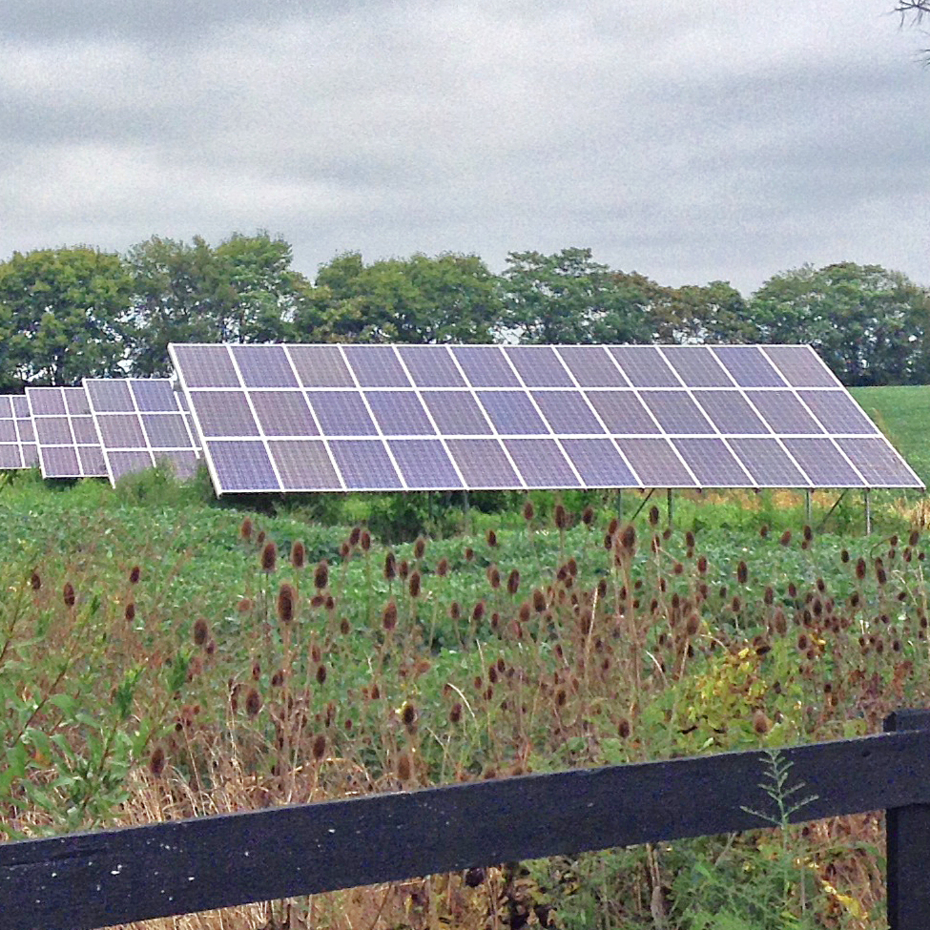 John Flannery, “LET FREEDOM RING”