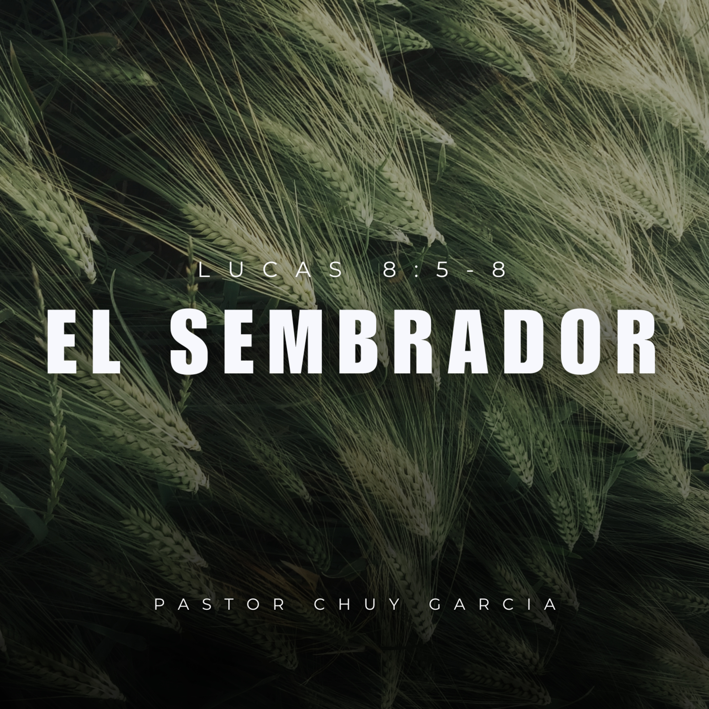 C. DE O. STA. FE SERVICIO DOMINICAL