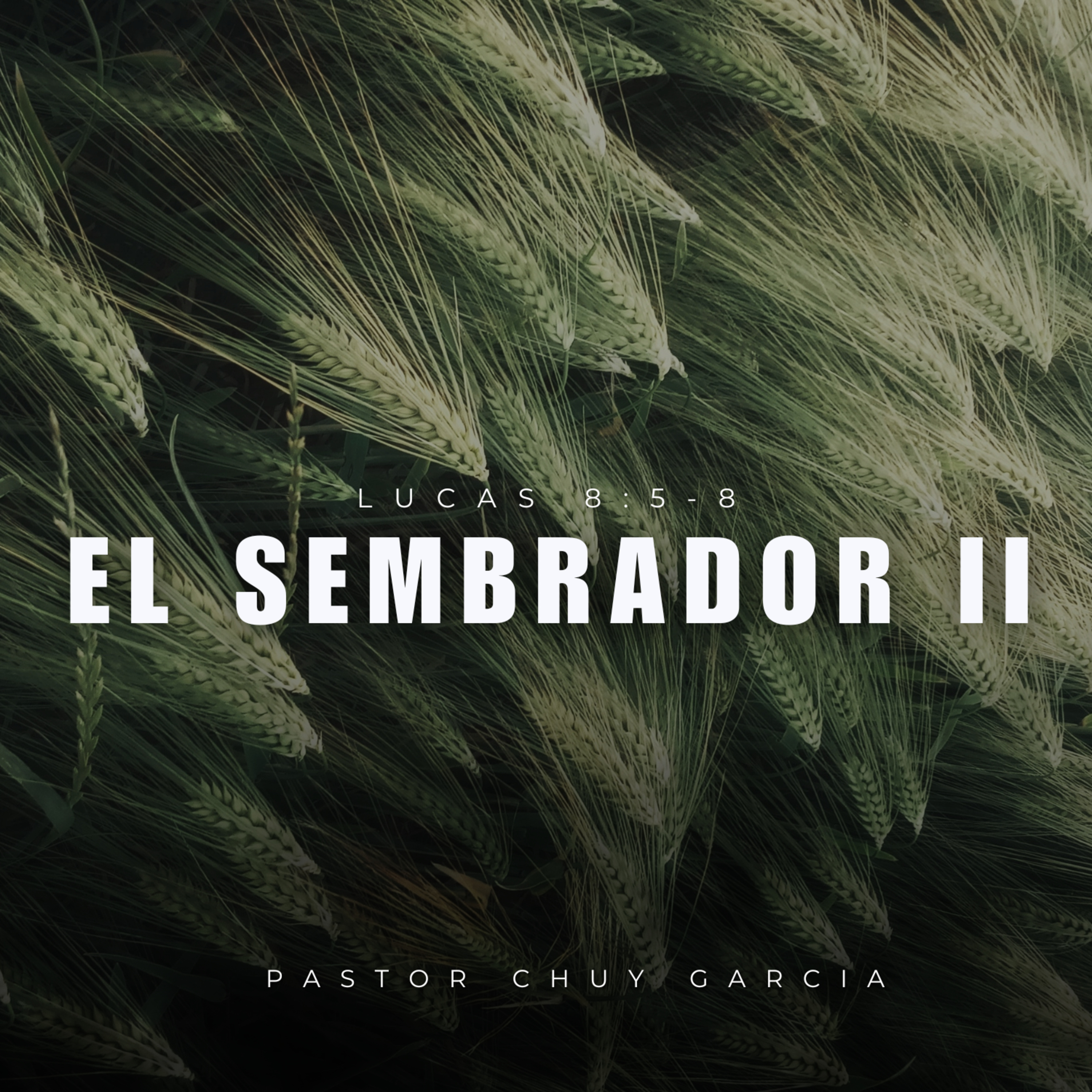 C. DE O. STA. FE SERVICIO DOMINICAL