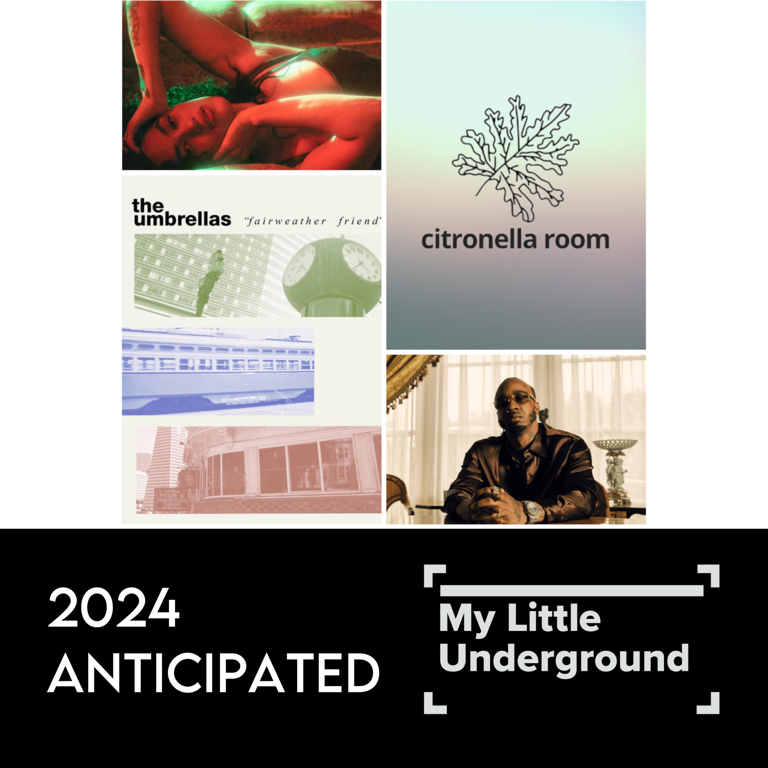2024 Anticipated