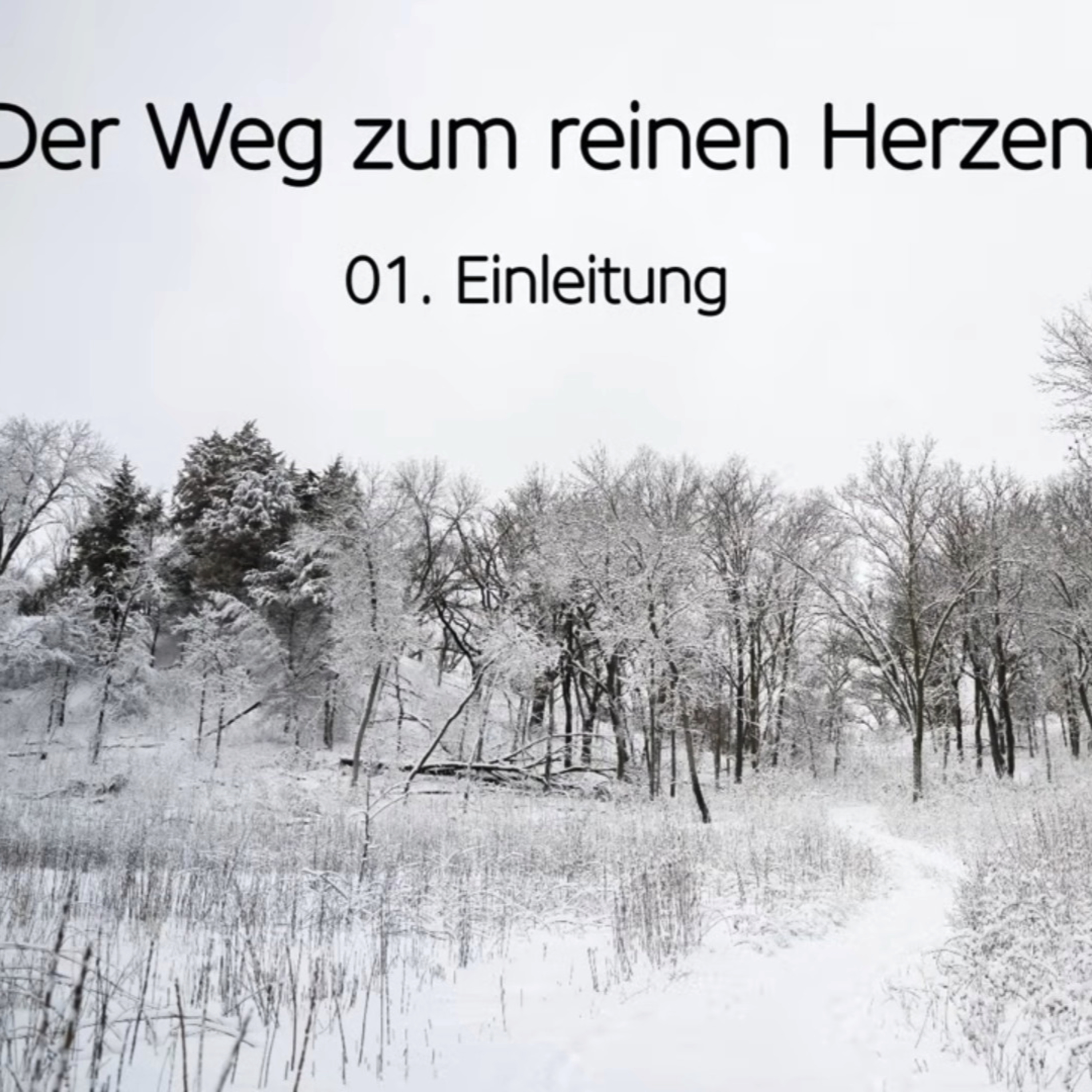 Der Weg zum reinen Herzen (1/9): Einleitung episode artwork