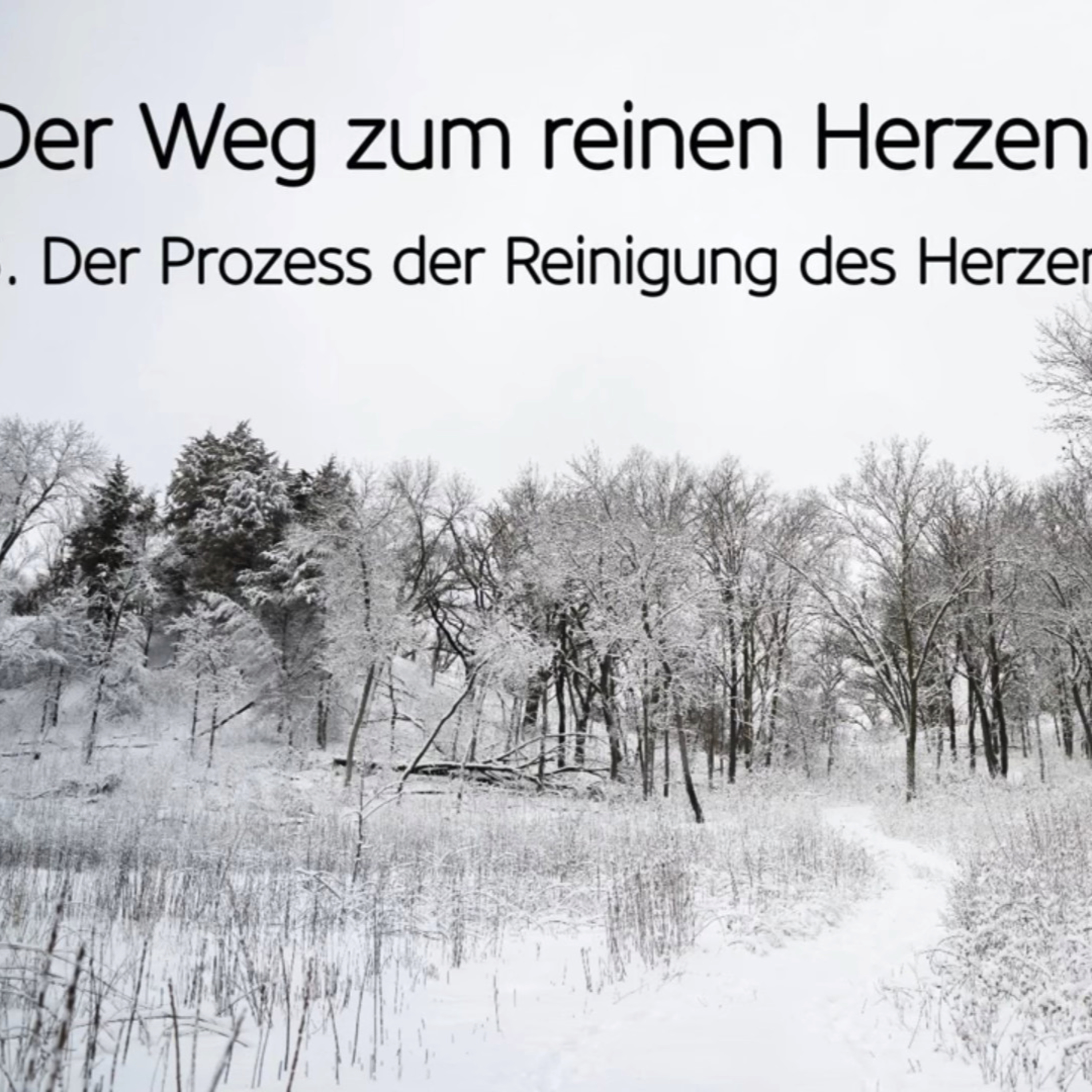 Der Weg zum reinen Herzen (5/9): Der Prozess der Reinigung des Herzens episode artwork