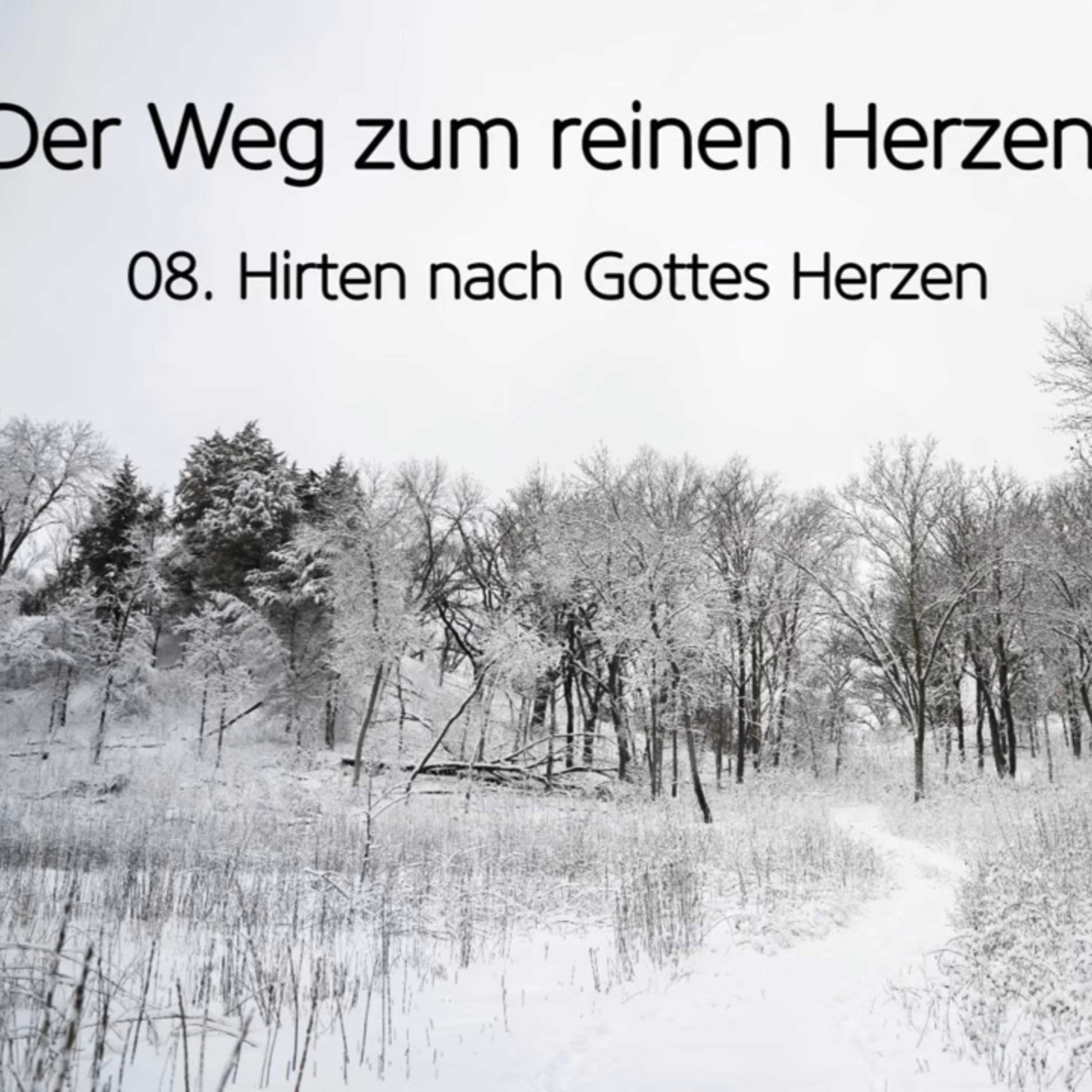 Der Weg zum reinen Herzen (8/9): Hirten nach Gottes Herzen episode artwork