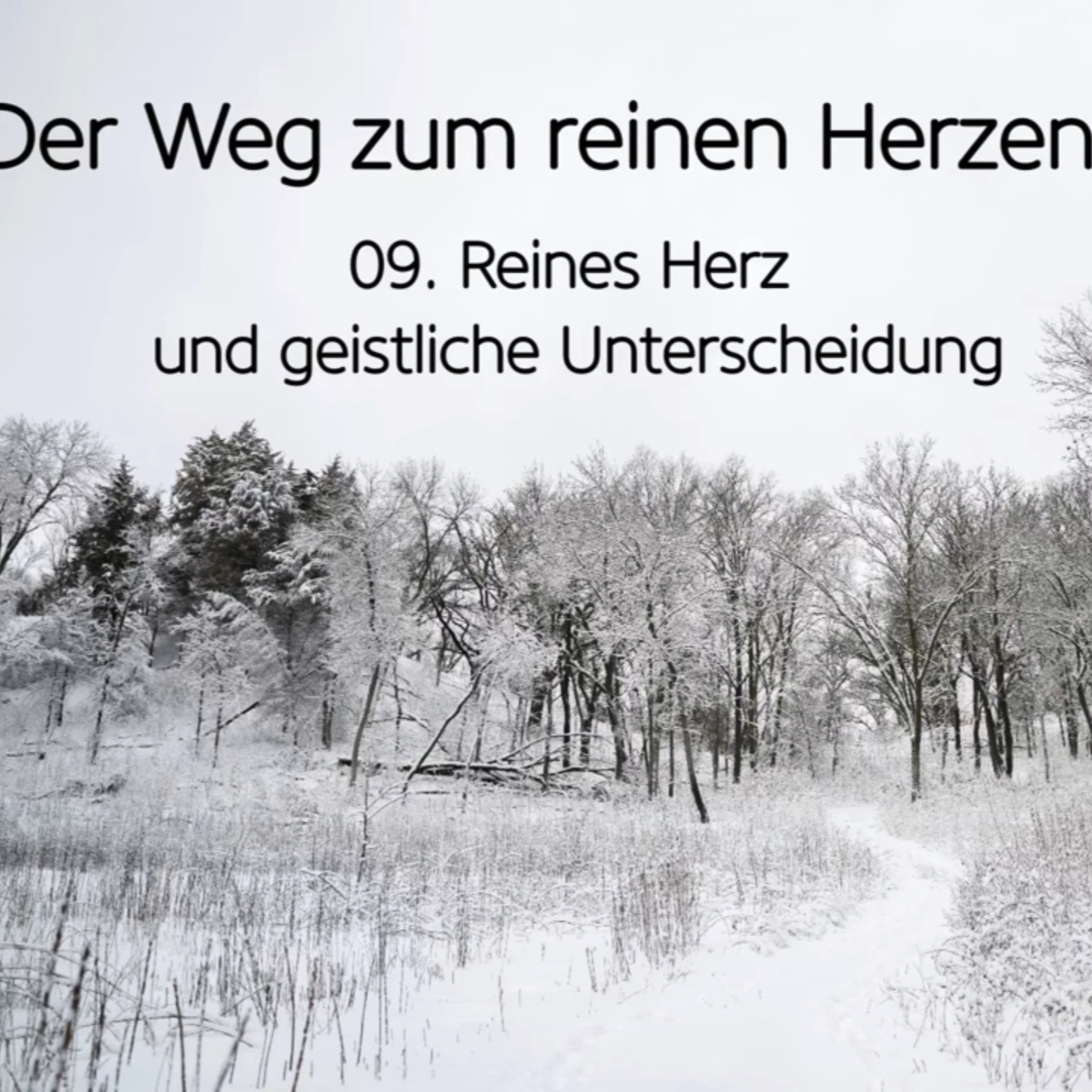 Der Weg zum reinen Herzen (9/9): Reines Herz und geistliche Unterscheidung episode artwork