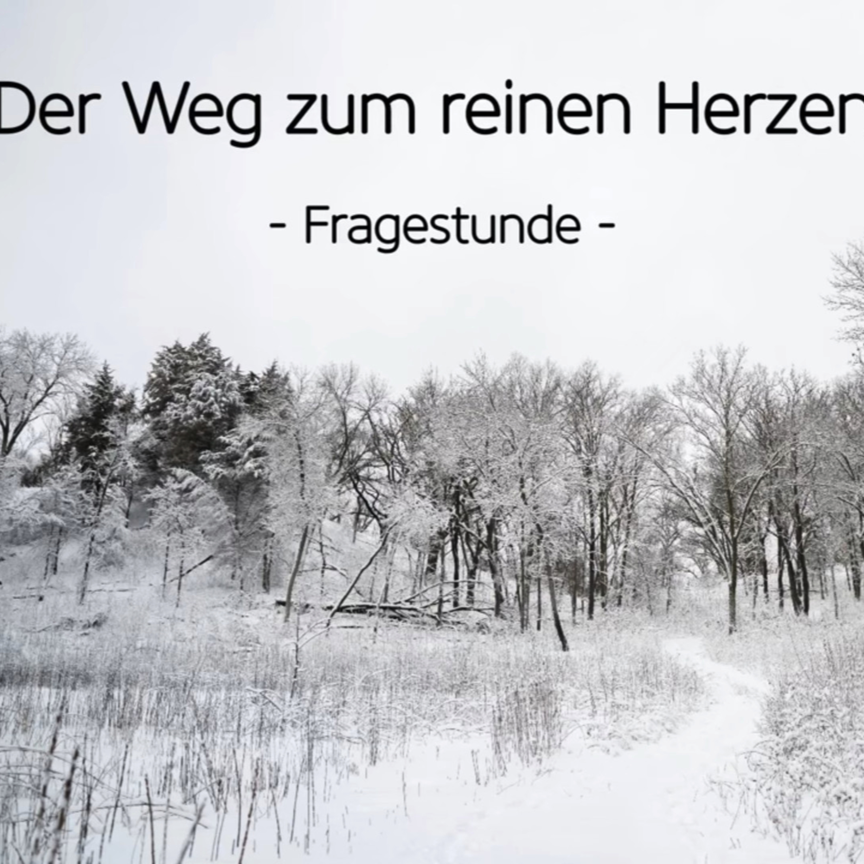 Der Weg zum reinen Herzen: Fragestunde episode artwork