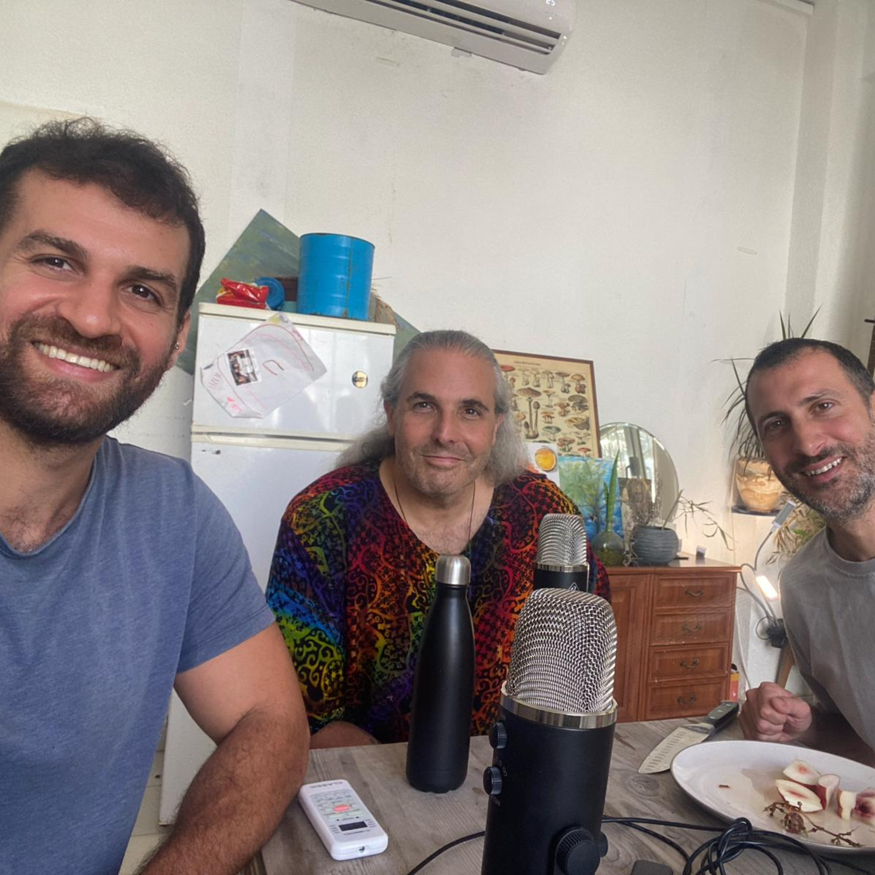 ואולי תמיד יש לנו בחירה - פרק שאמני עם רוהאן פלאות episode artwork