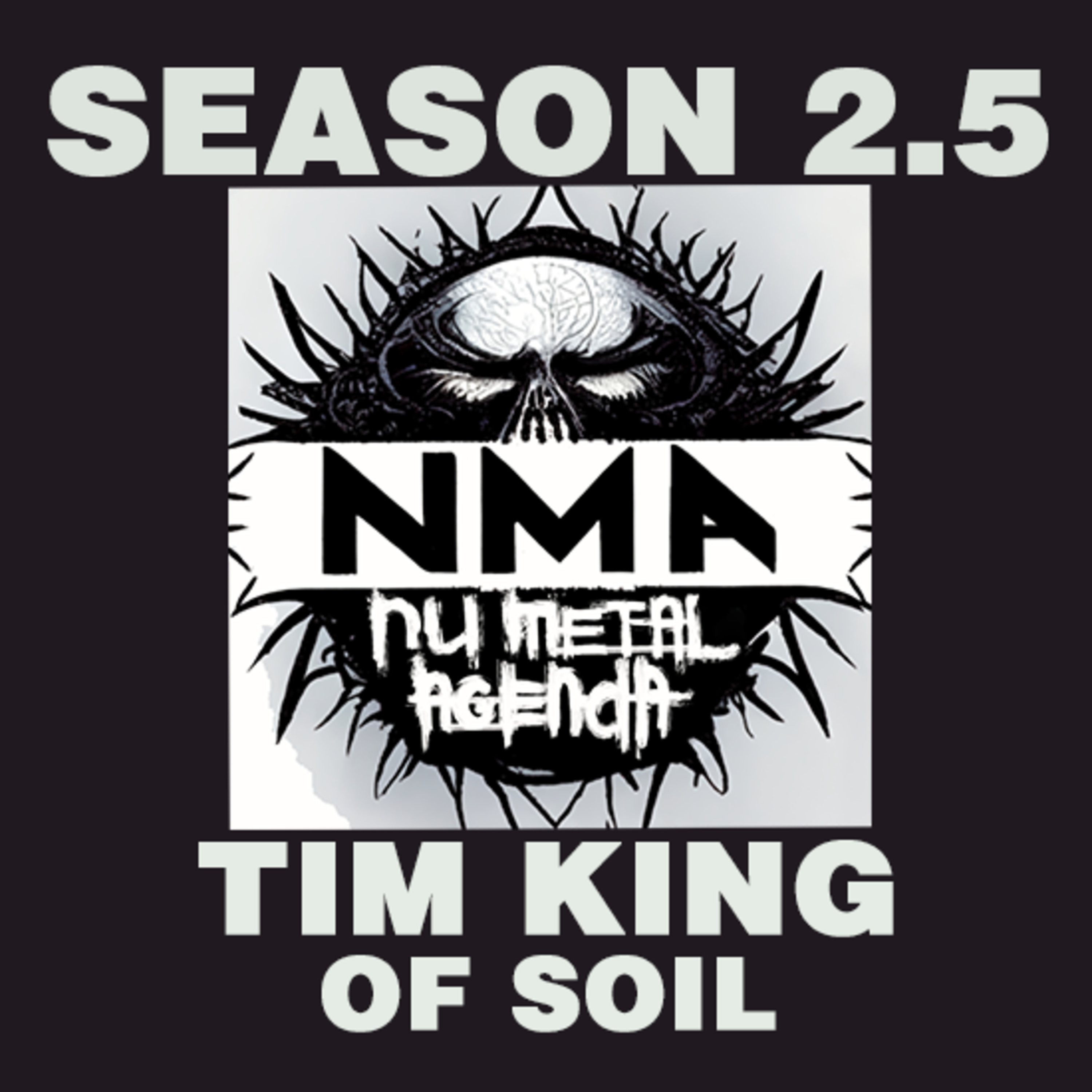 The Nu Metal Agenda: Season 2.5 - Tim King of SOiL episode artwork