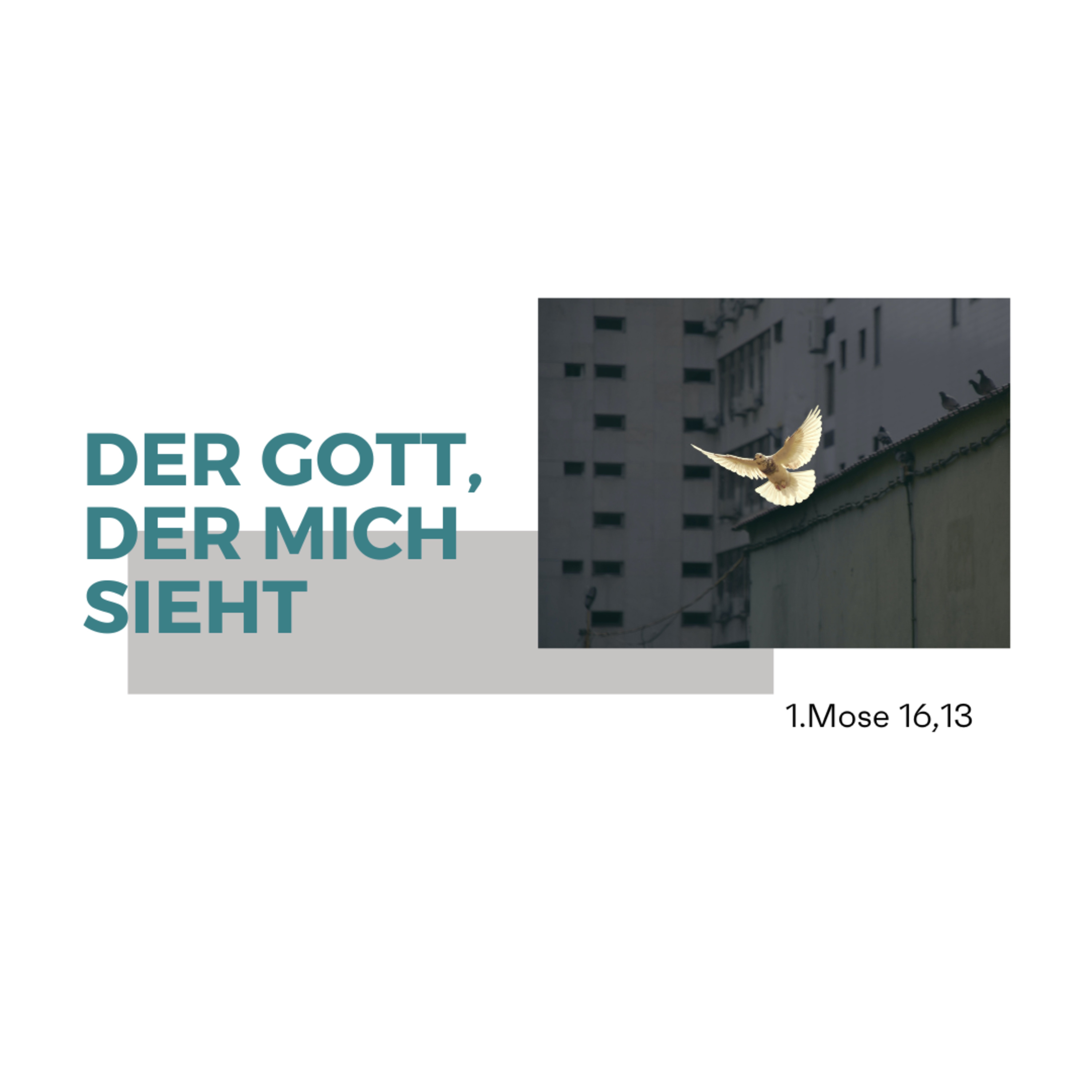 Predigten aus der Kirche im westhouse