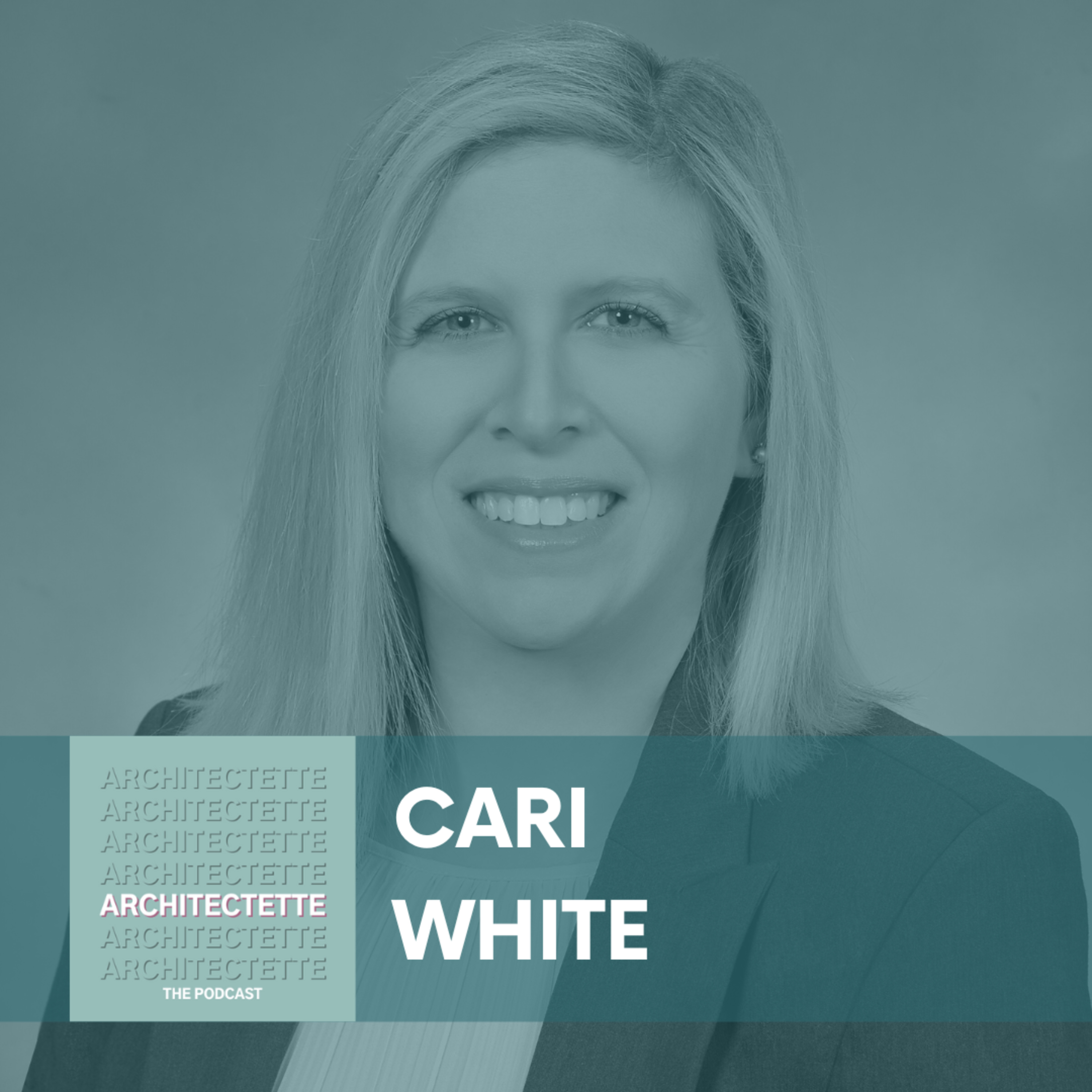 080: Cari White: Architecture Firm Finances and Profitability episode artwork