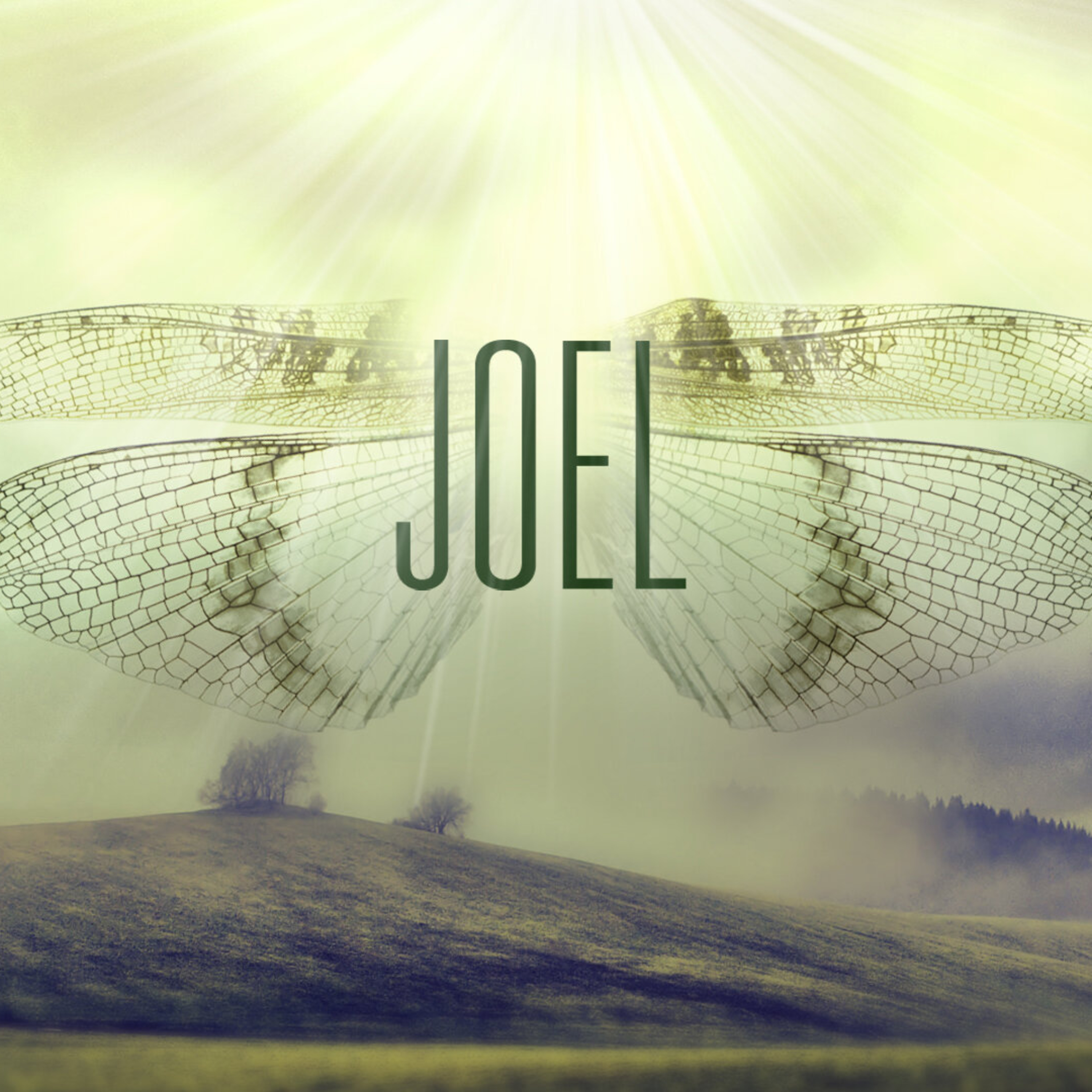 Joel, Part 3: The Day of the Lord // Simon Gill episode artwork