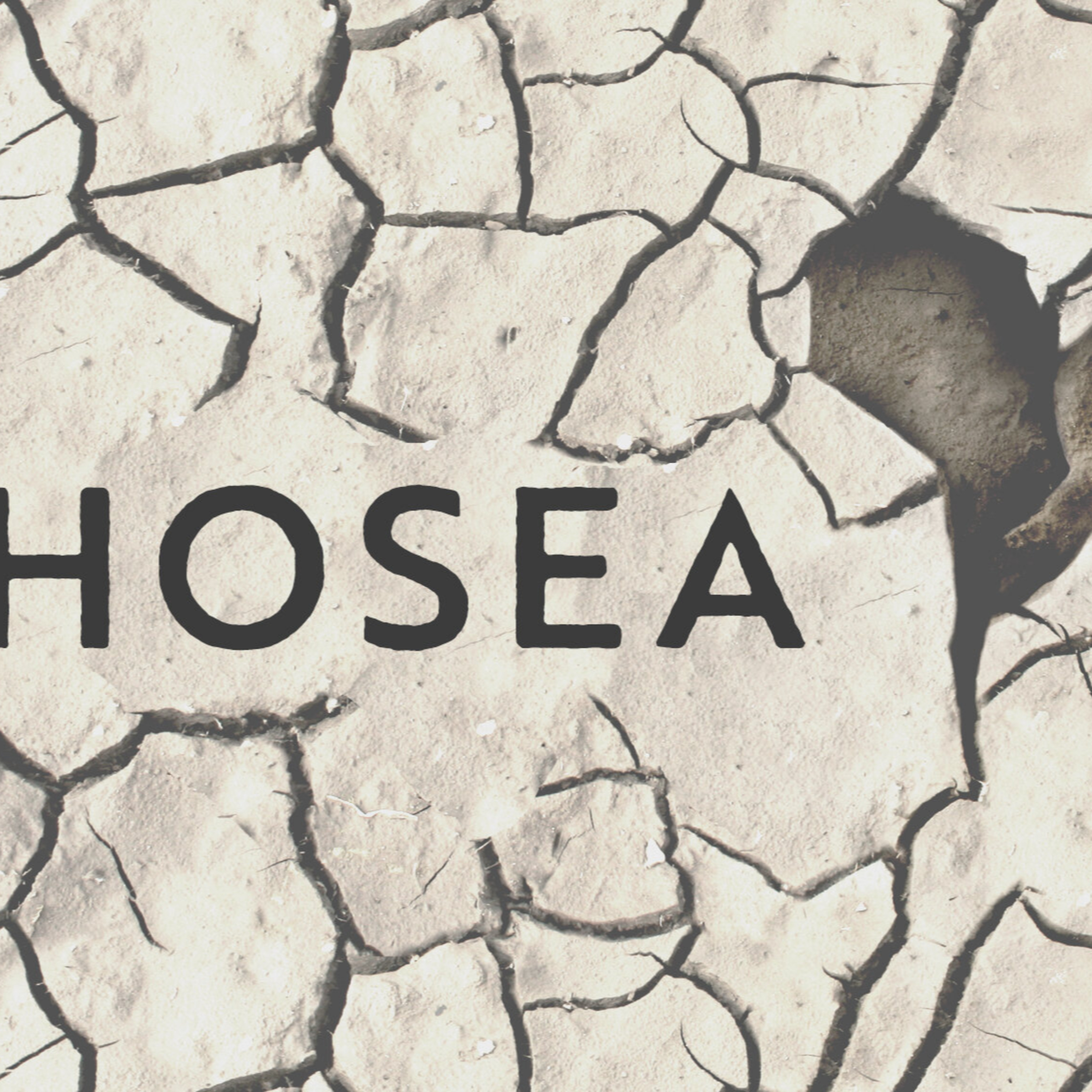 Hosea, Part 1: The Agony of Adultery // Nick Field episode artwork