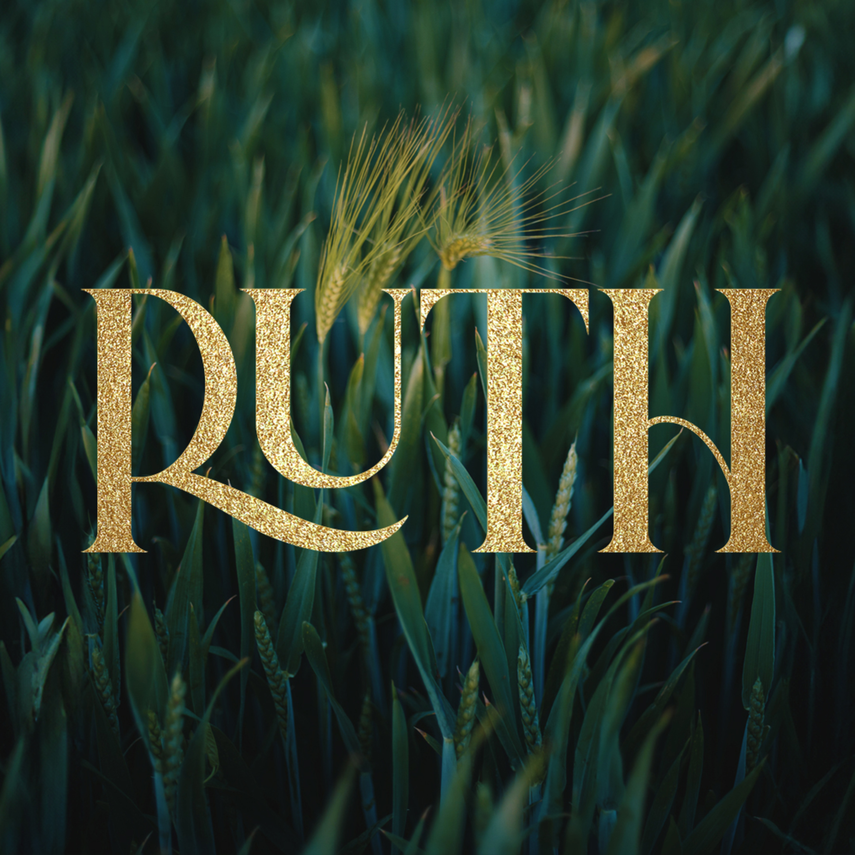 Ruth, Part 2: God In The Little Things // Matt Rowan episode artwork