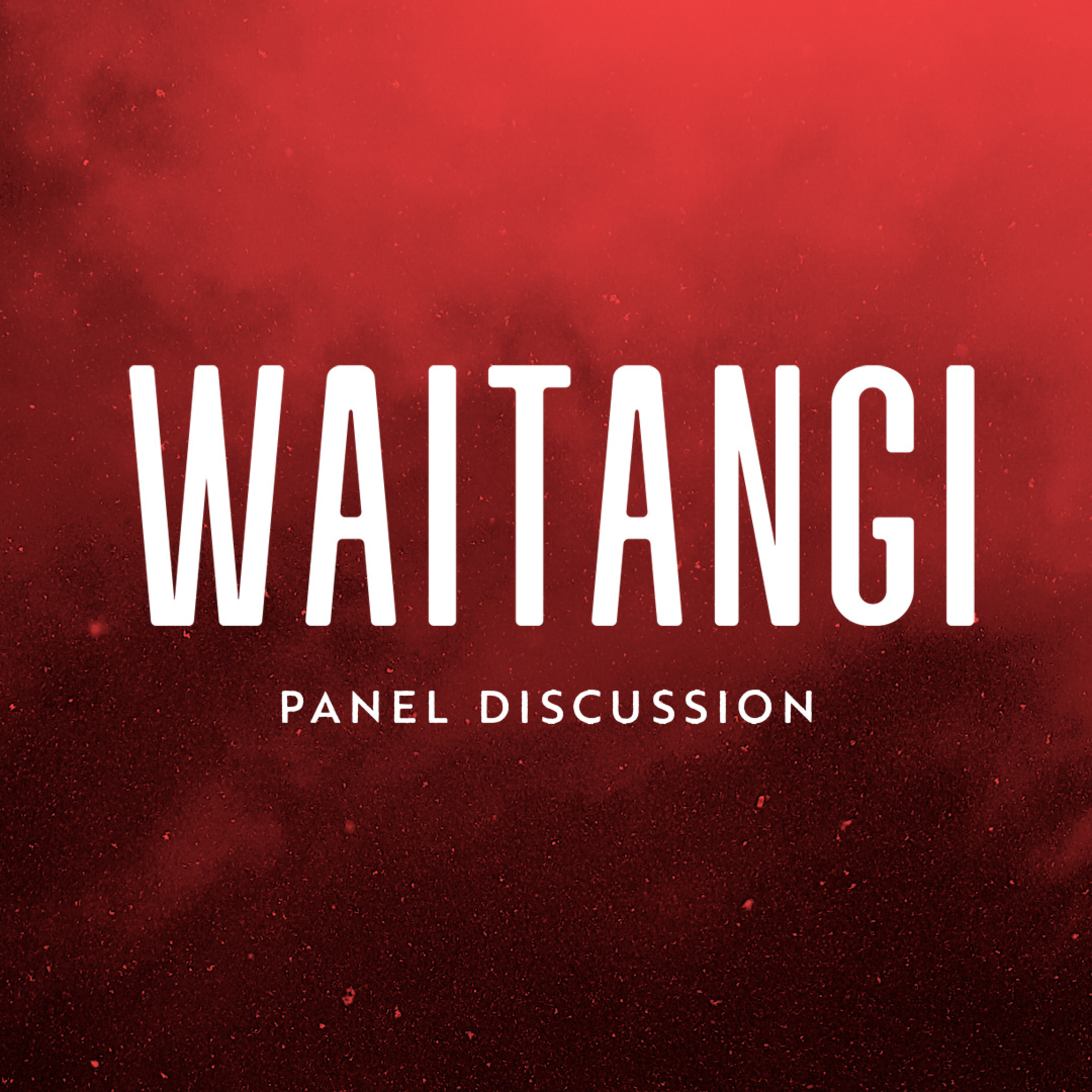 Waitangi Day Panel // Anna, Adam, Shook & Anna episode artwork