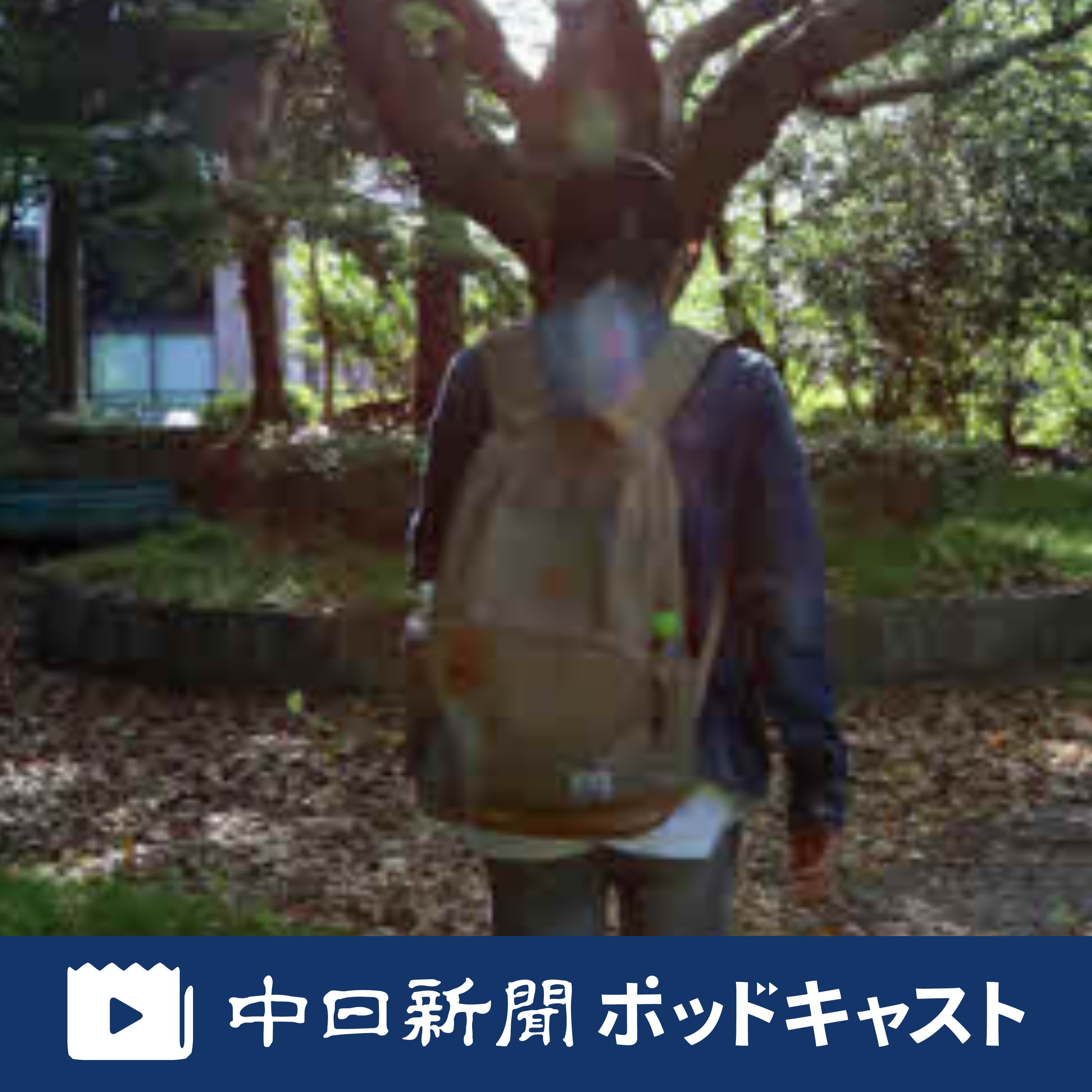 不法就労の闇　暗躍するブローカーに会う～移民ビジネスを追う（中）　＃３３８ episode artwork