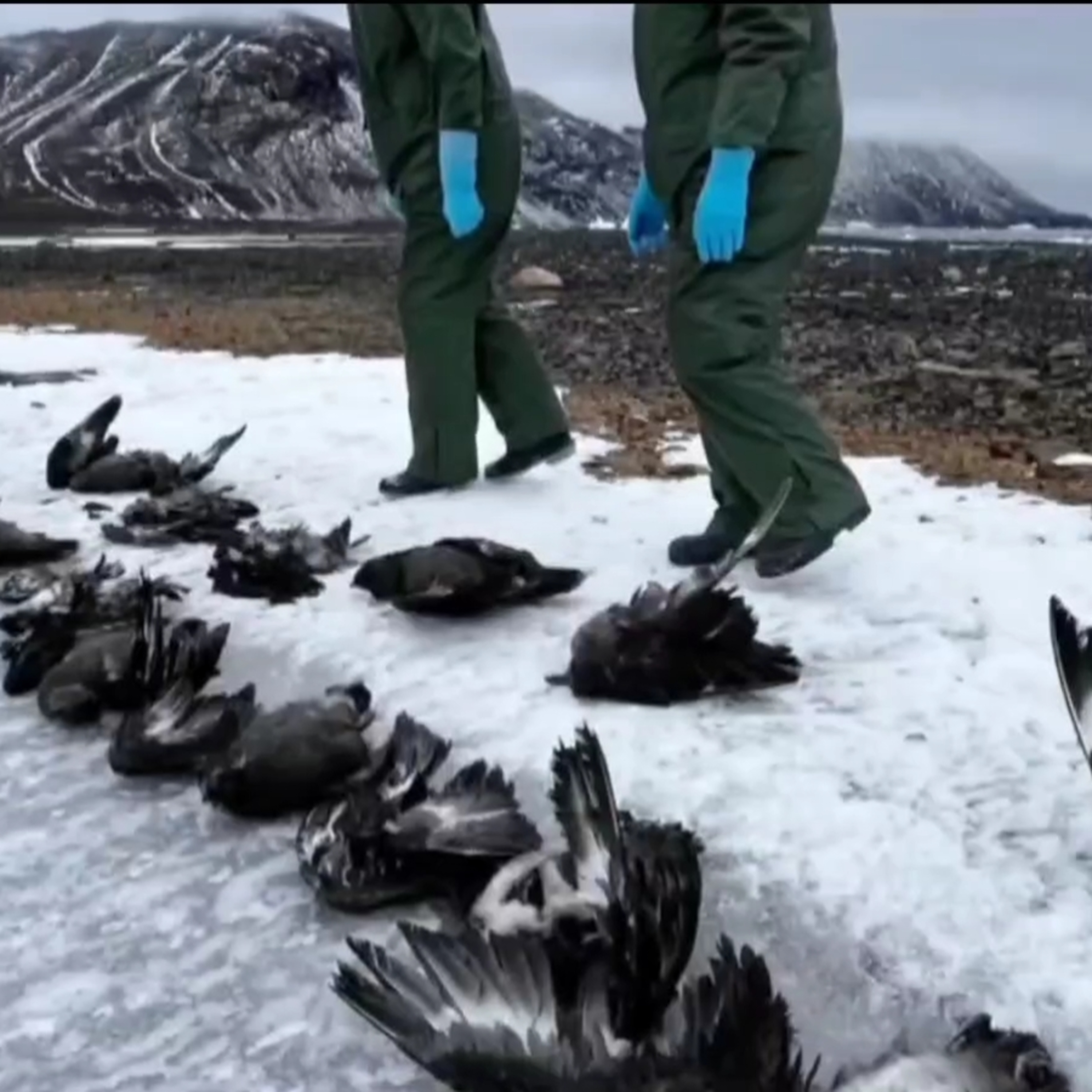 DISASTERS IN VARIOUS PLACES AND SOCIAL CREDITING IN THE NEW WORLD