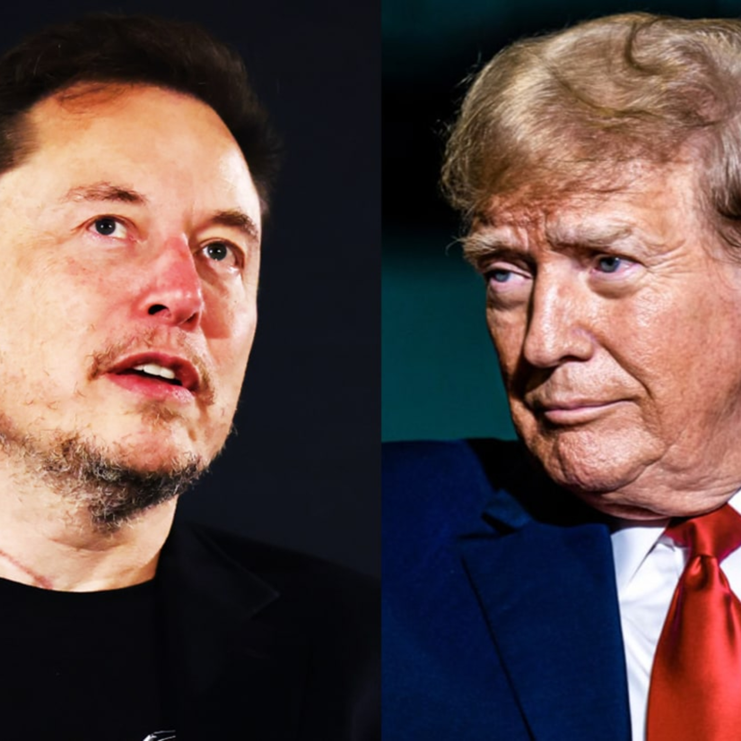 THE FACE OF AMERICA'S DESTRUCTION