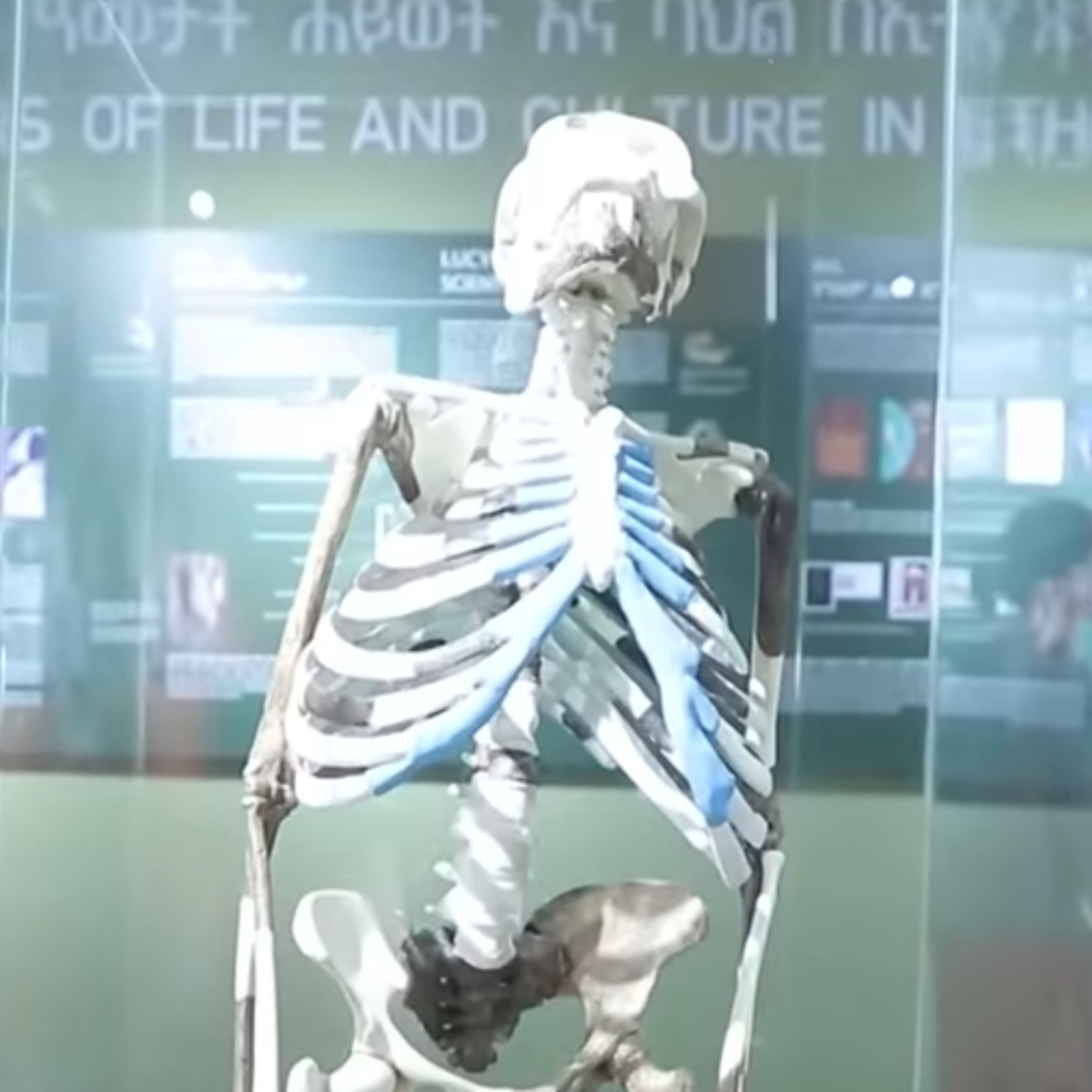 CHEMICAL POISONING BY DESIGN