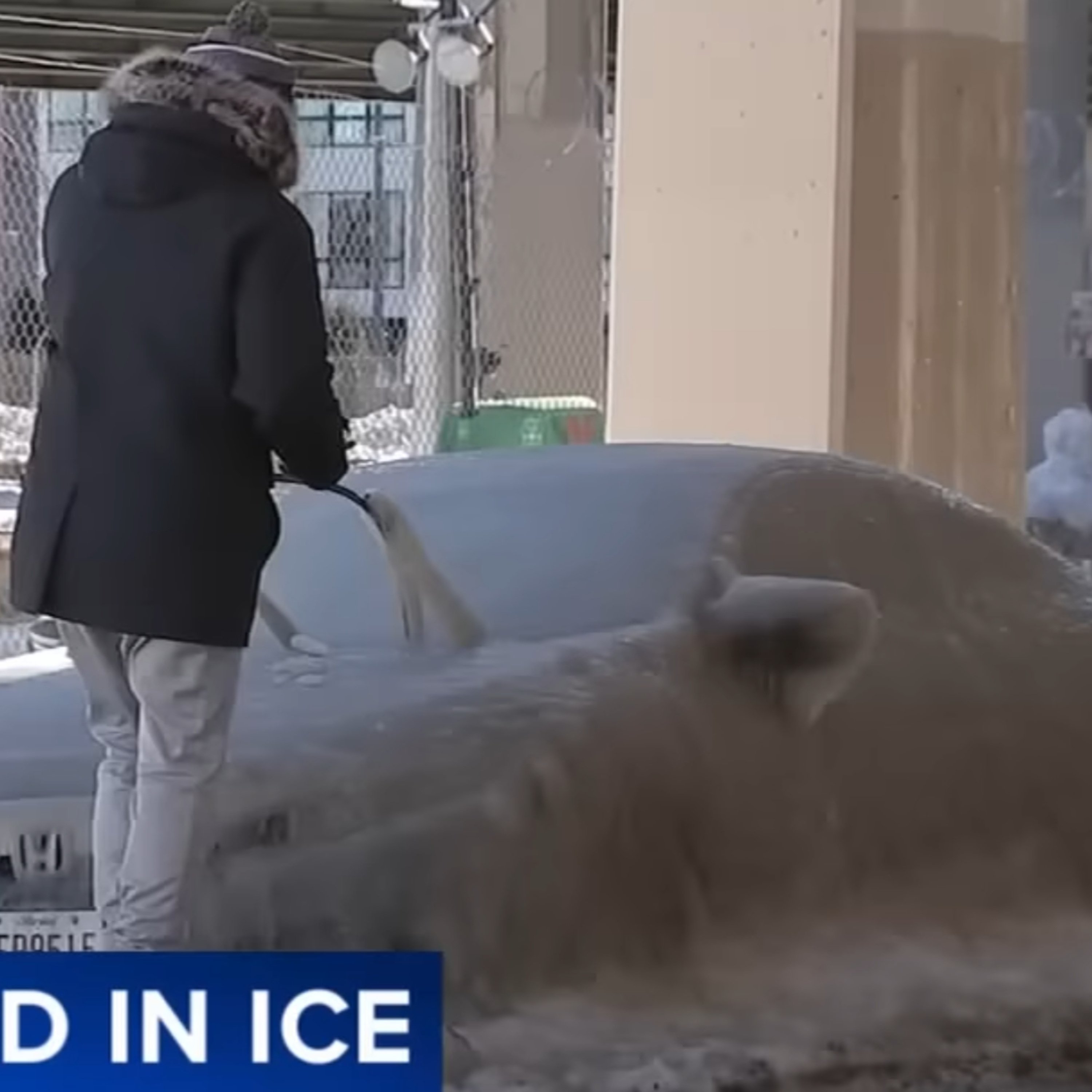 A CONTROLLED AND MANIPULATED WINTER