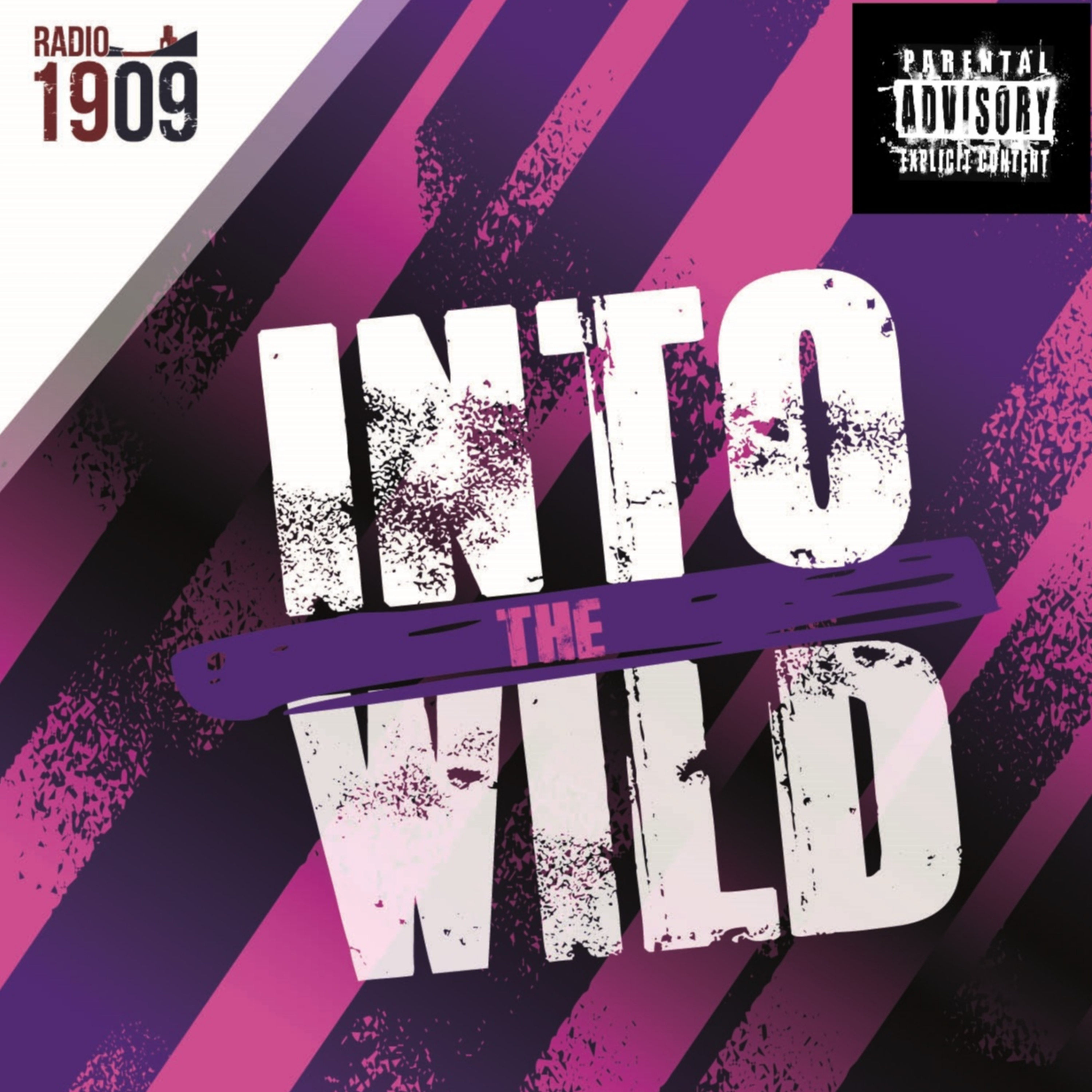 INTO THE WILD 06/04/23 episode artwork