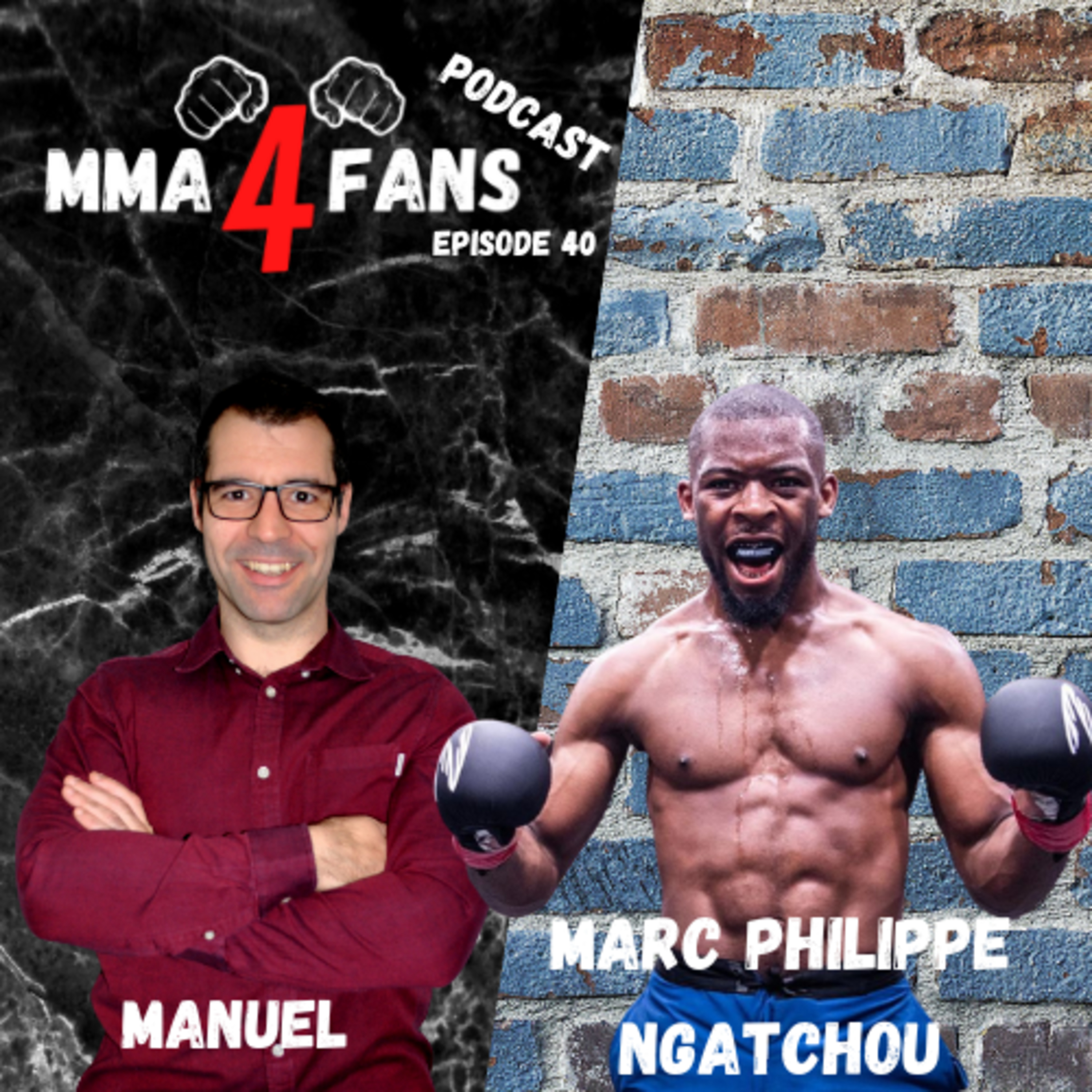 MMA 4 FANS
